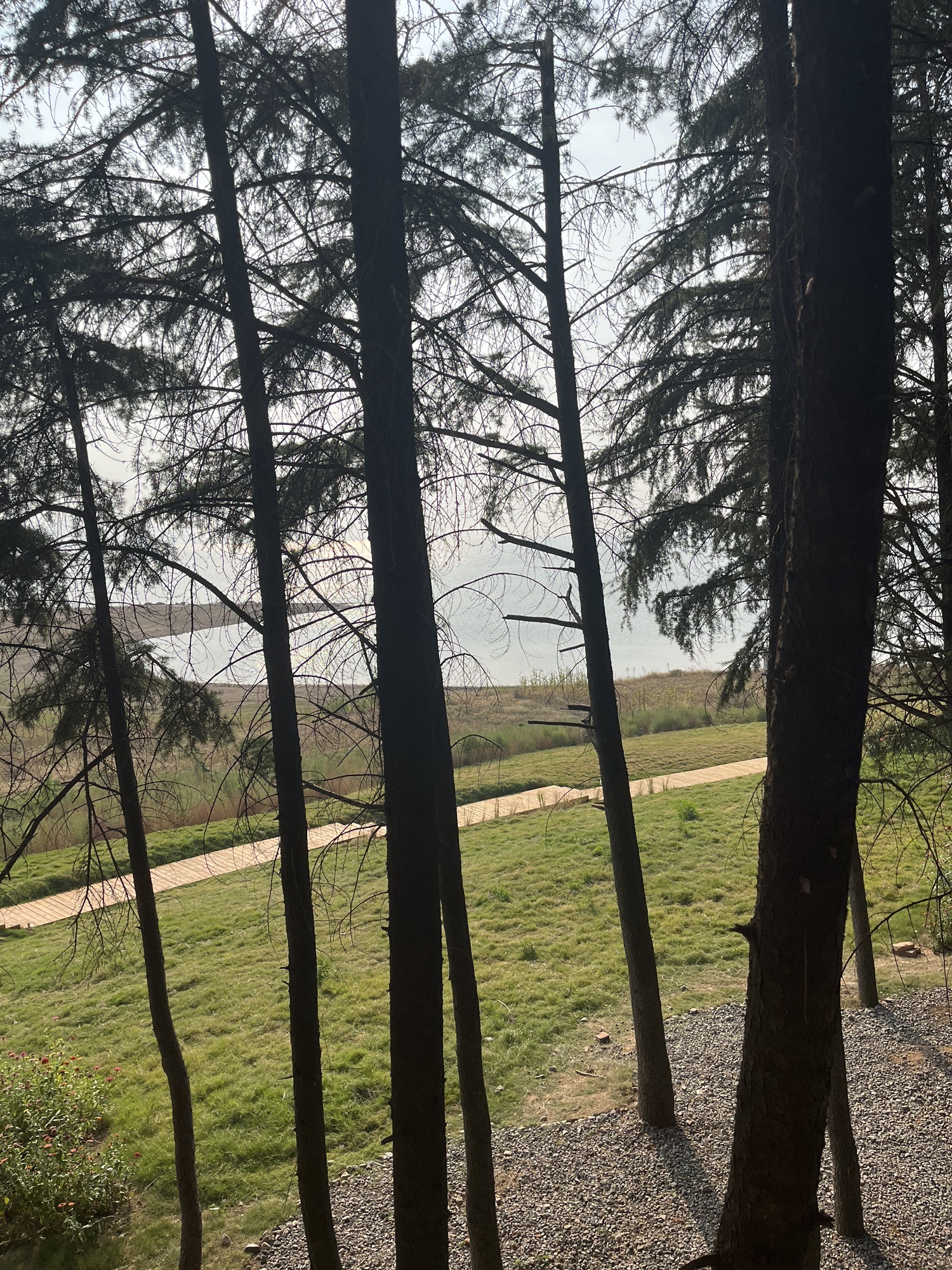 嵩县爱情岛旅行图片 1