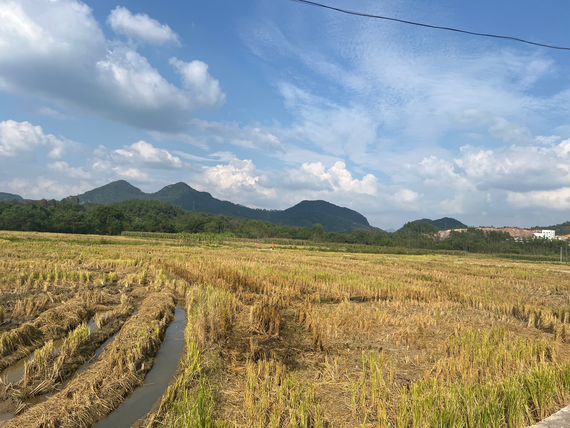 七拱大塘莫屋秀发公祠堂旅行图片 2