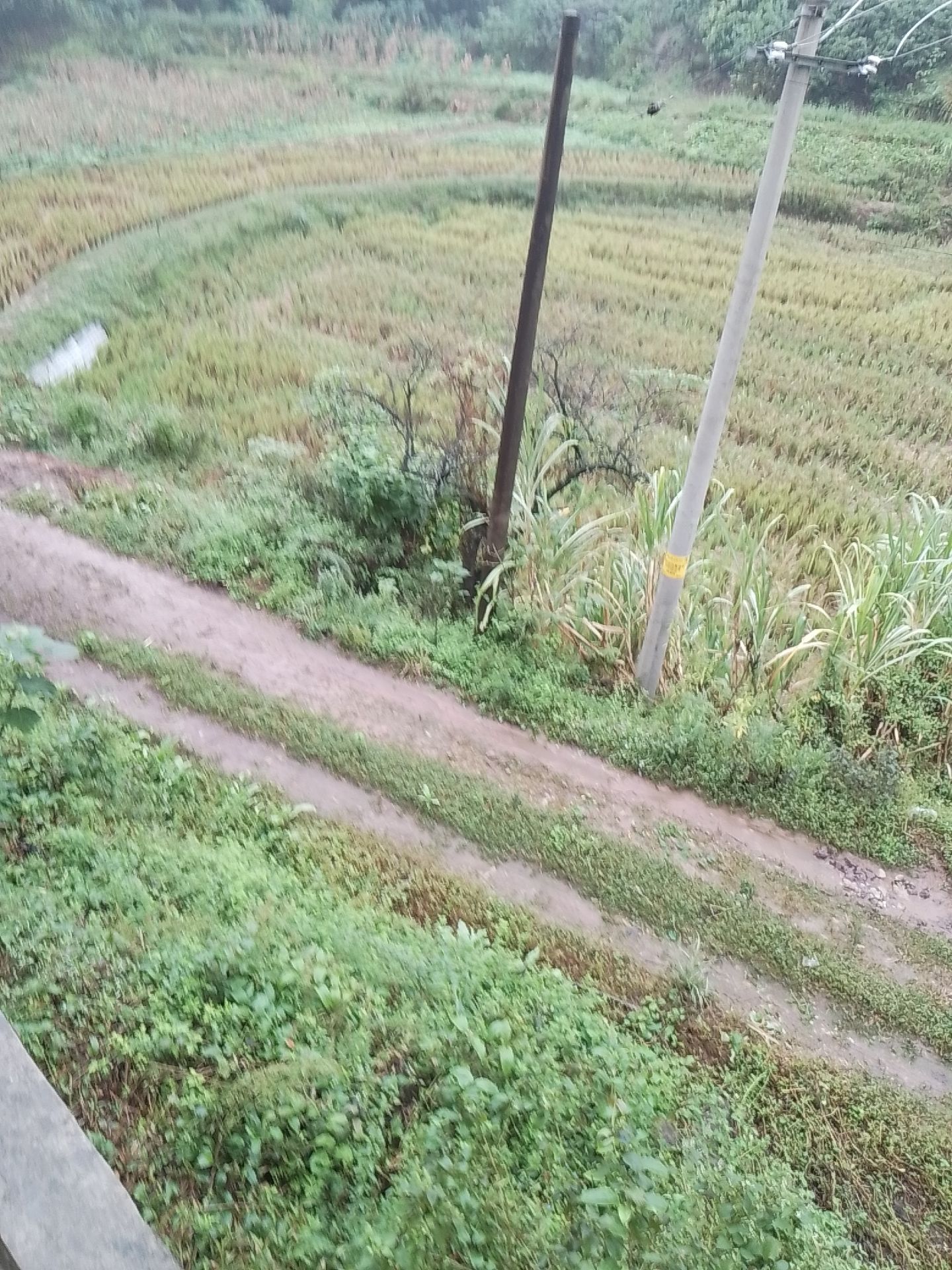 华佗咀林氏家族旅行图片 1