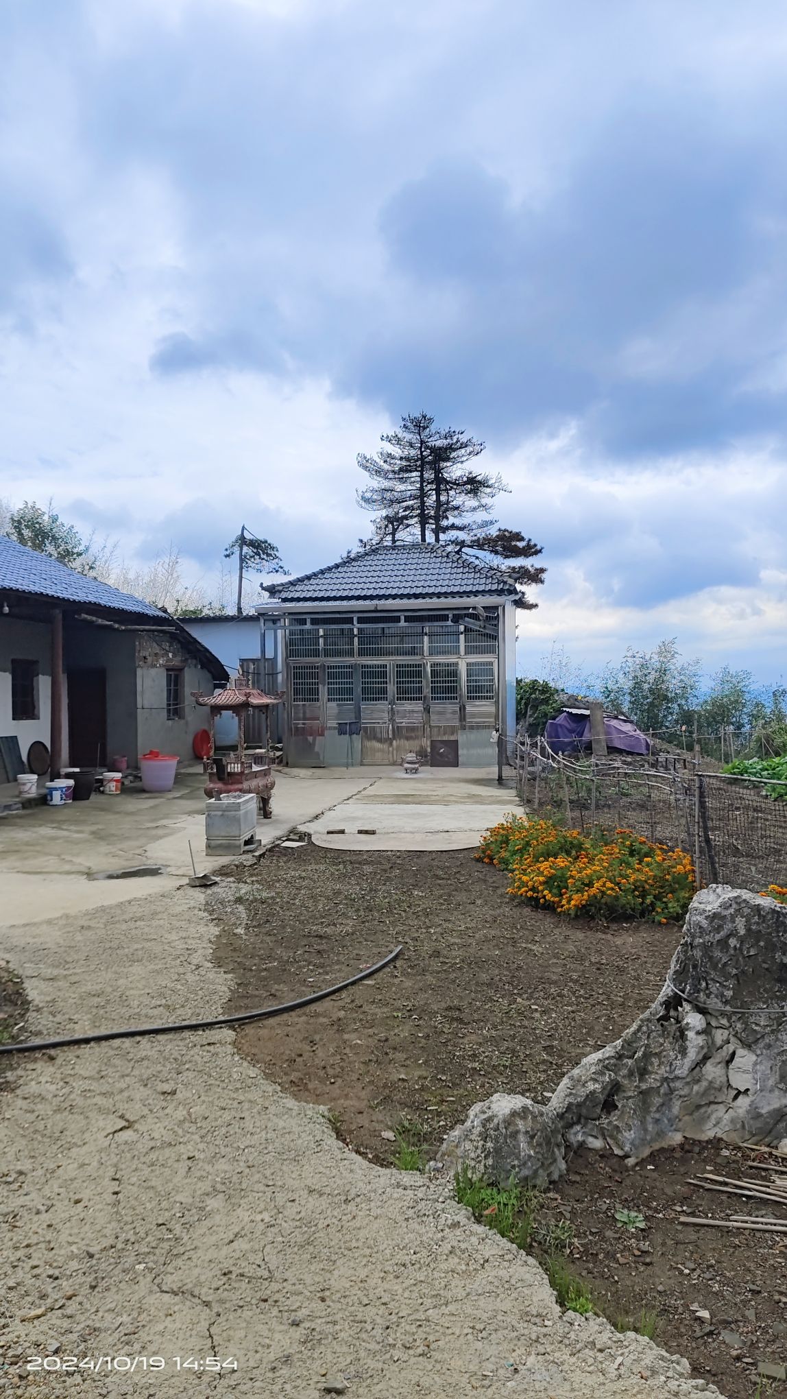 白云仙殿旅行图片 1