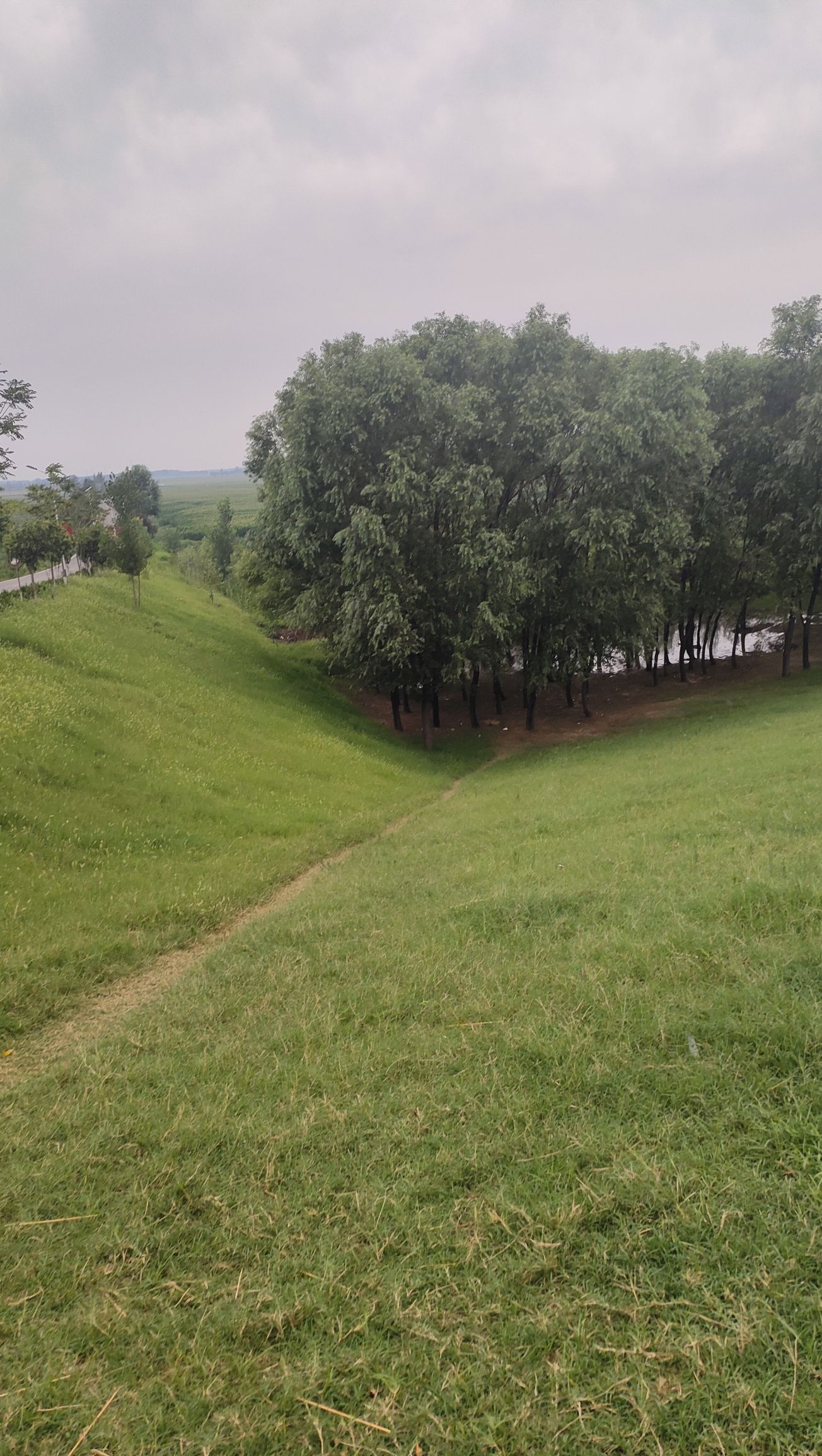 鄄城葵堌堆大草原旅行图片 1