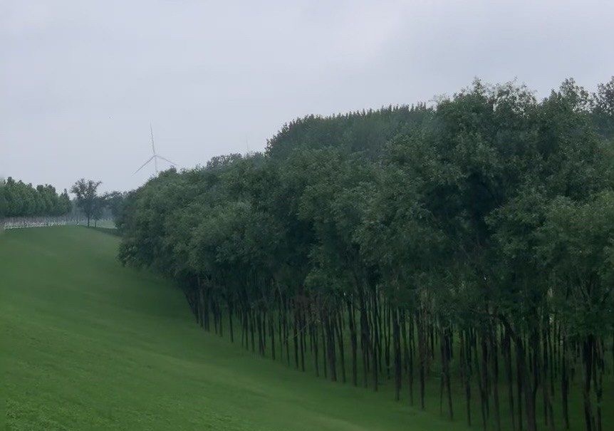 鄄城葵堌堆大草原旅行图片 1