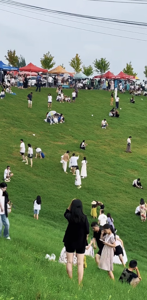 鄄城葵堌堆大草原旅行图片 2