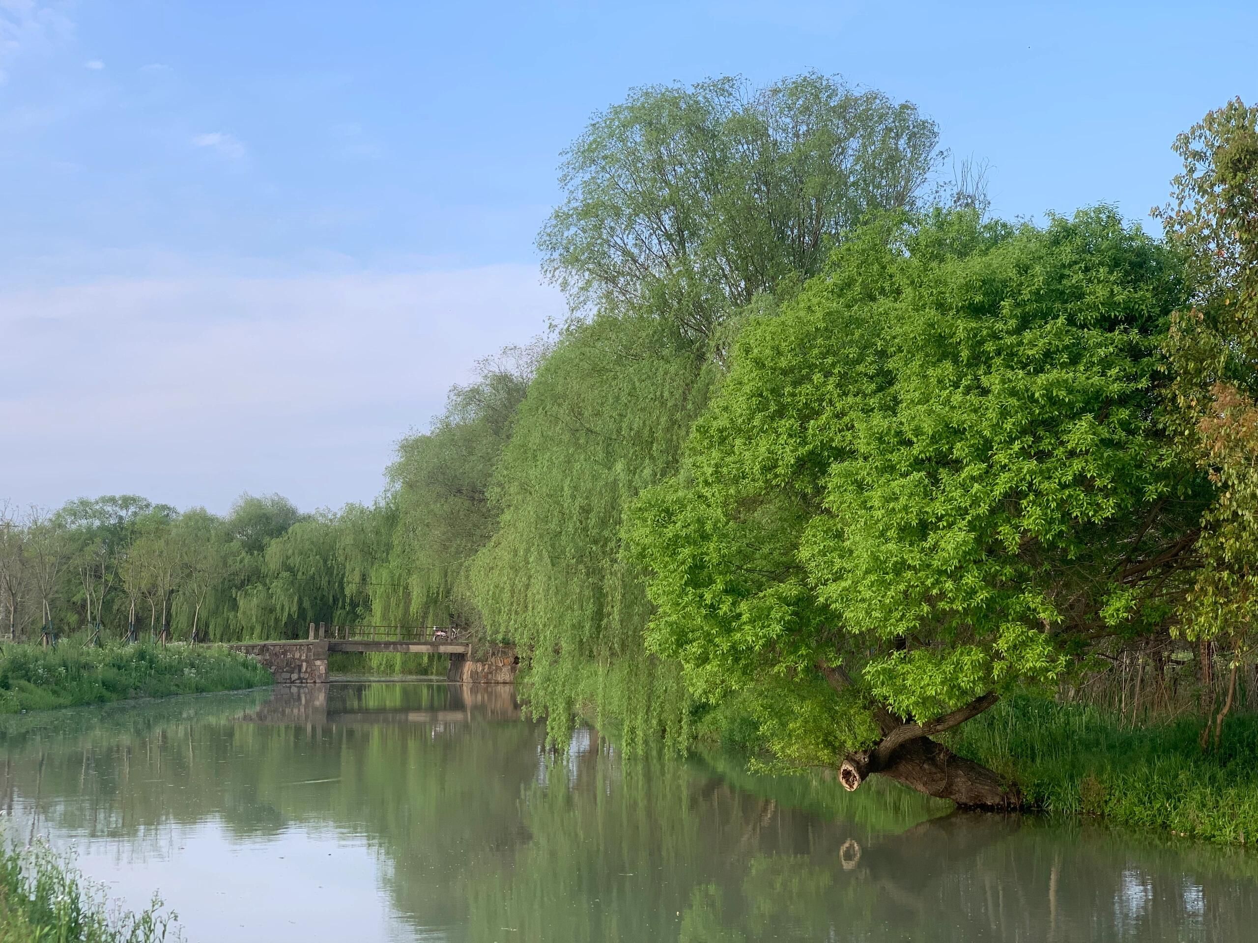 靖安桥旅行图片 3
