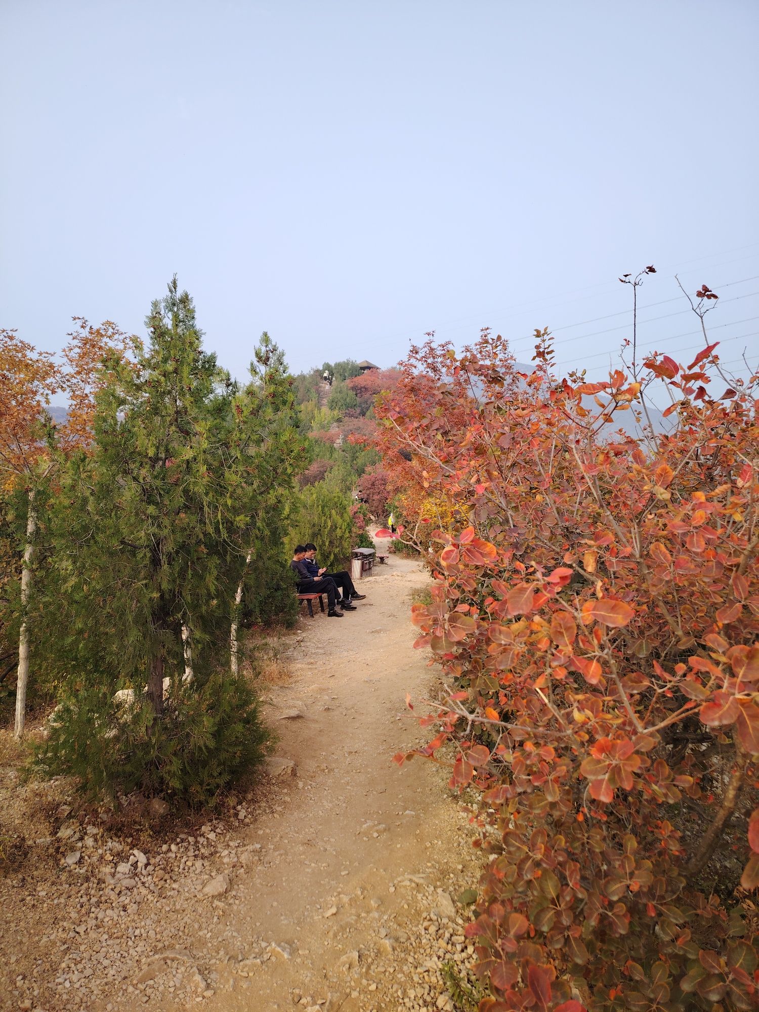 水峪村红叶栈道旅行图片 3