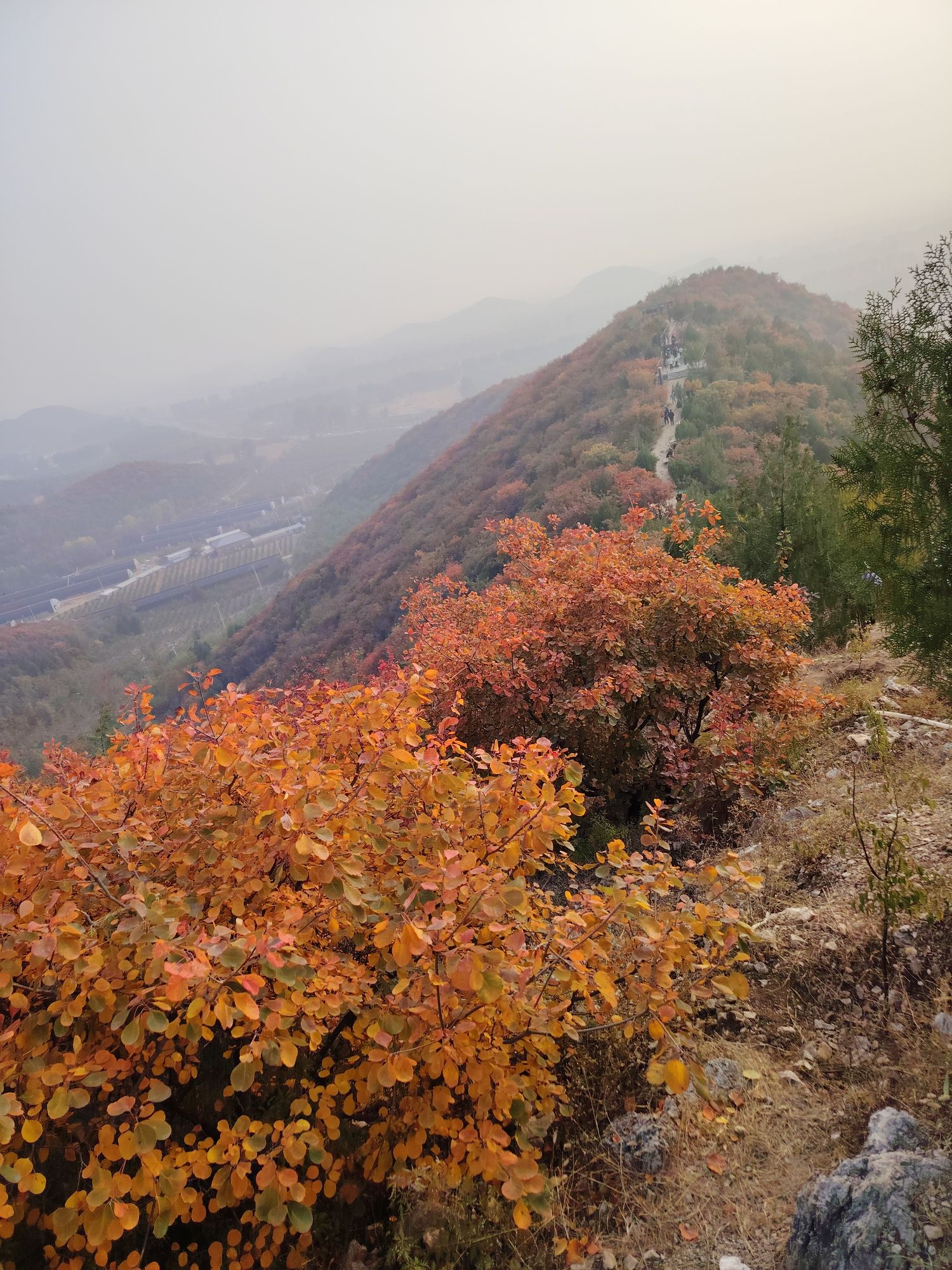 水峪村红叶栈道旅行图片 2
