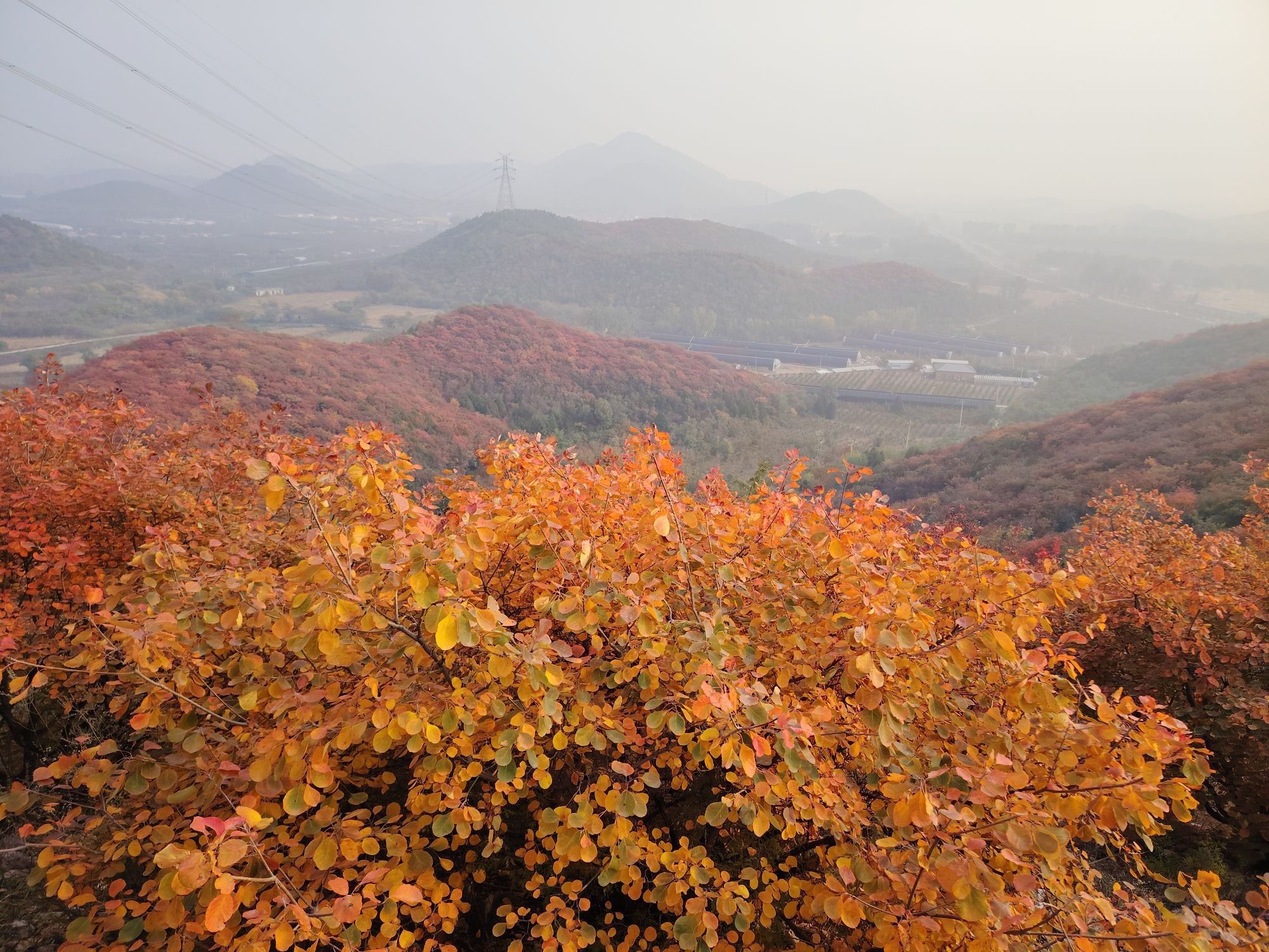 水峪村红叶栈道旅行图片 1