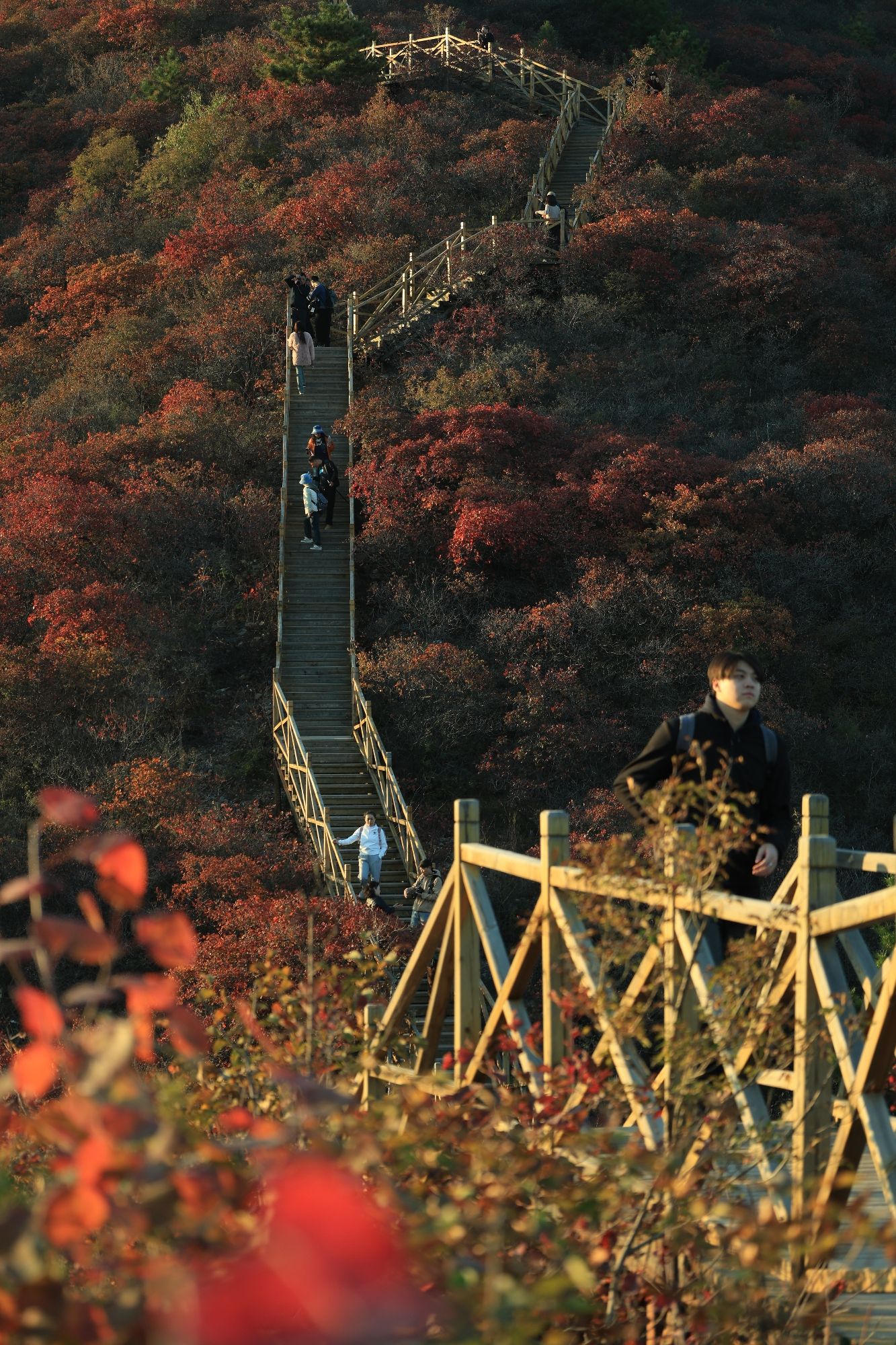 水峪村红叶栈道旅行图片 2