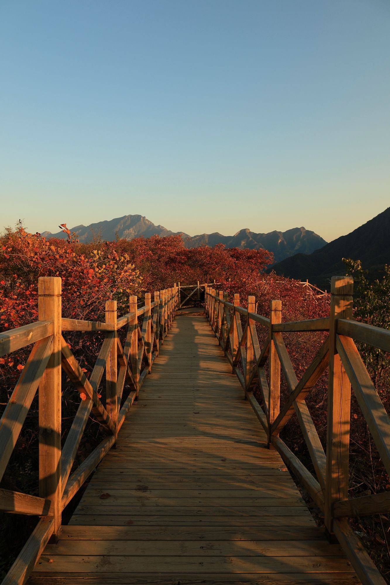 水峪村红叶栈道旅行图片 1