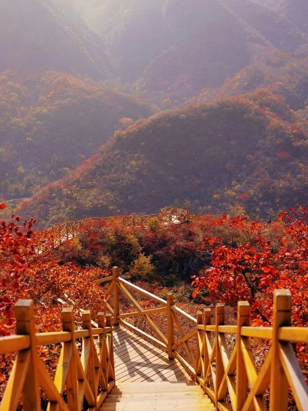 水峪村红叶栈道旅行图片 1