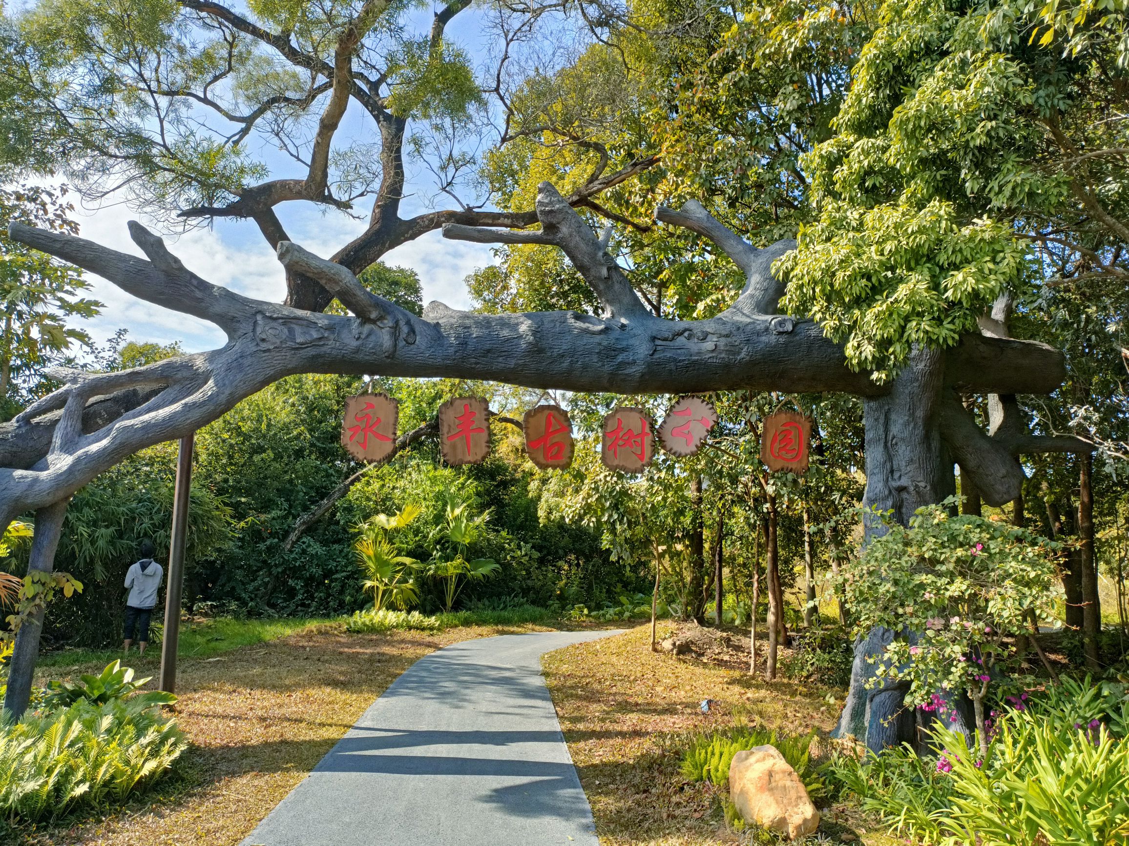 永丰古树公园旅行图片 1
