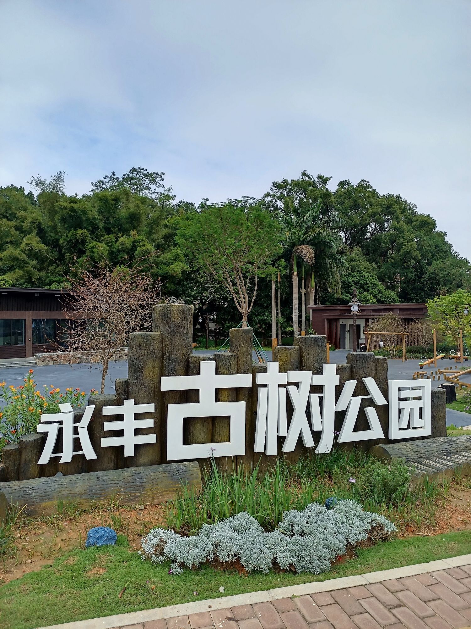永丰古树公园旅行图片 1