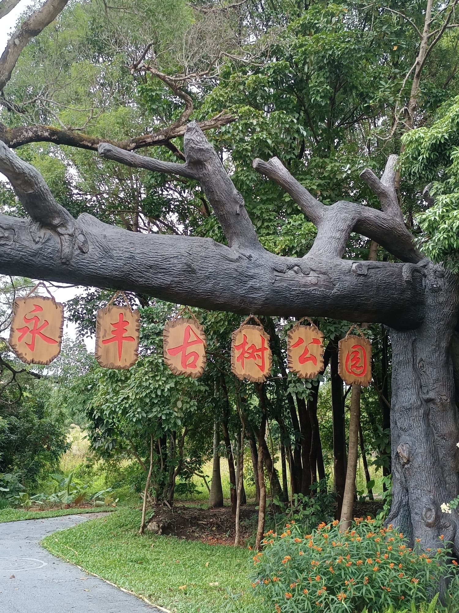 永丰古树公园旅行图片 2