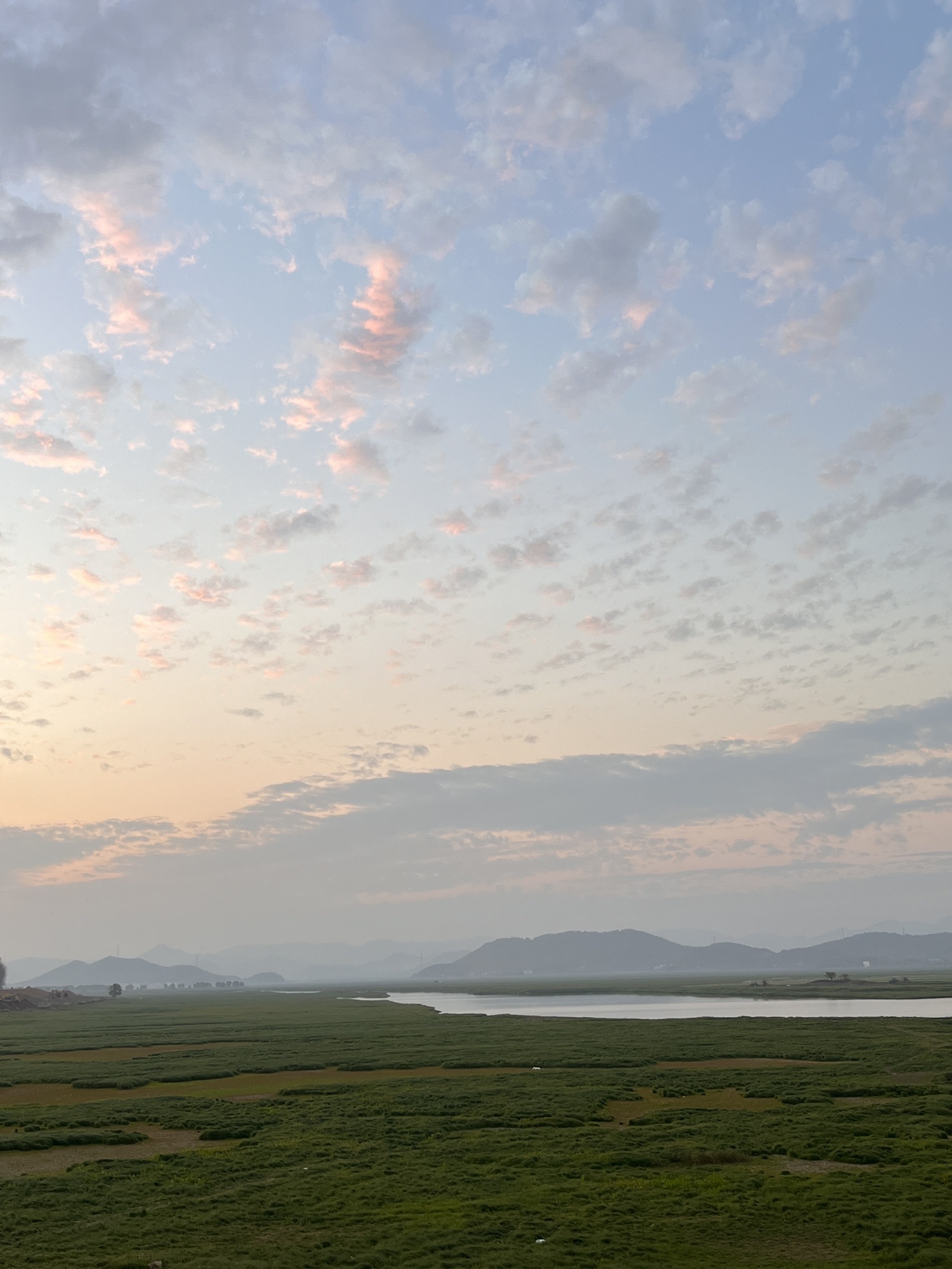 安庆草海旅行图片 2
