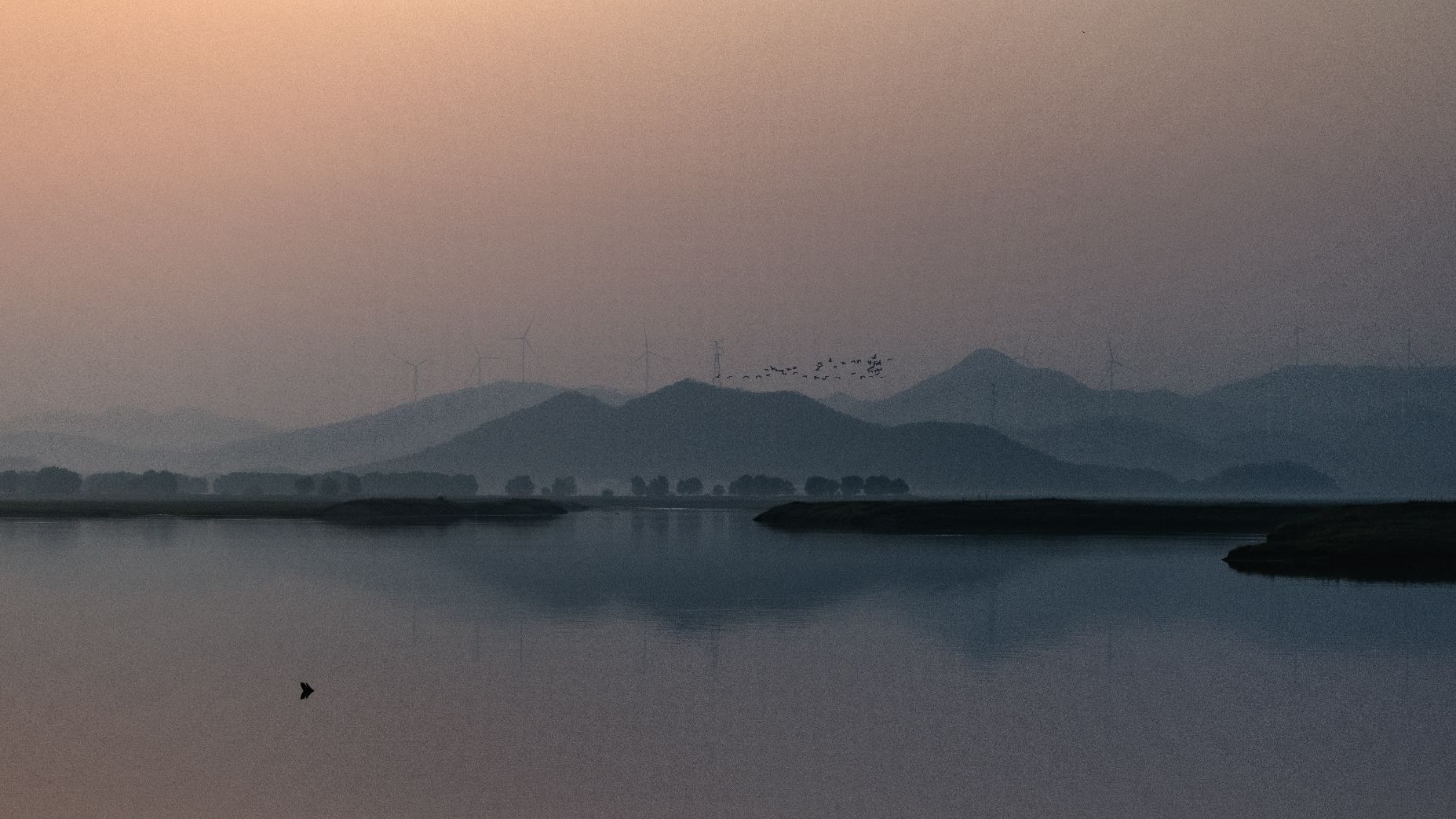 安庆草海旅行图片 1