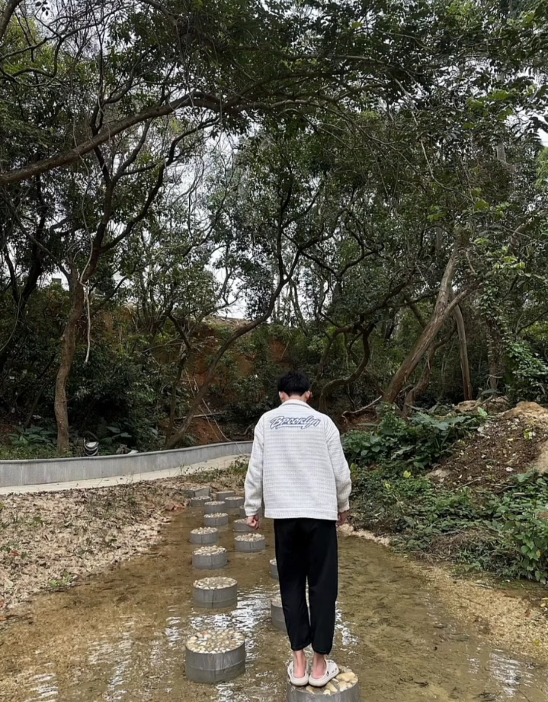 横山镇上乙槽森林公园旅行图片 1
