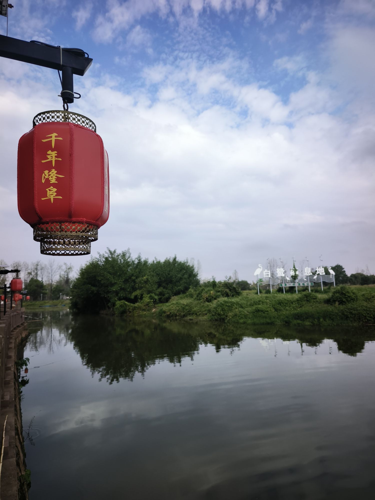 隆阜一村白鹭生态湿地旅行图片 3