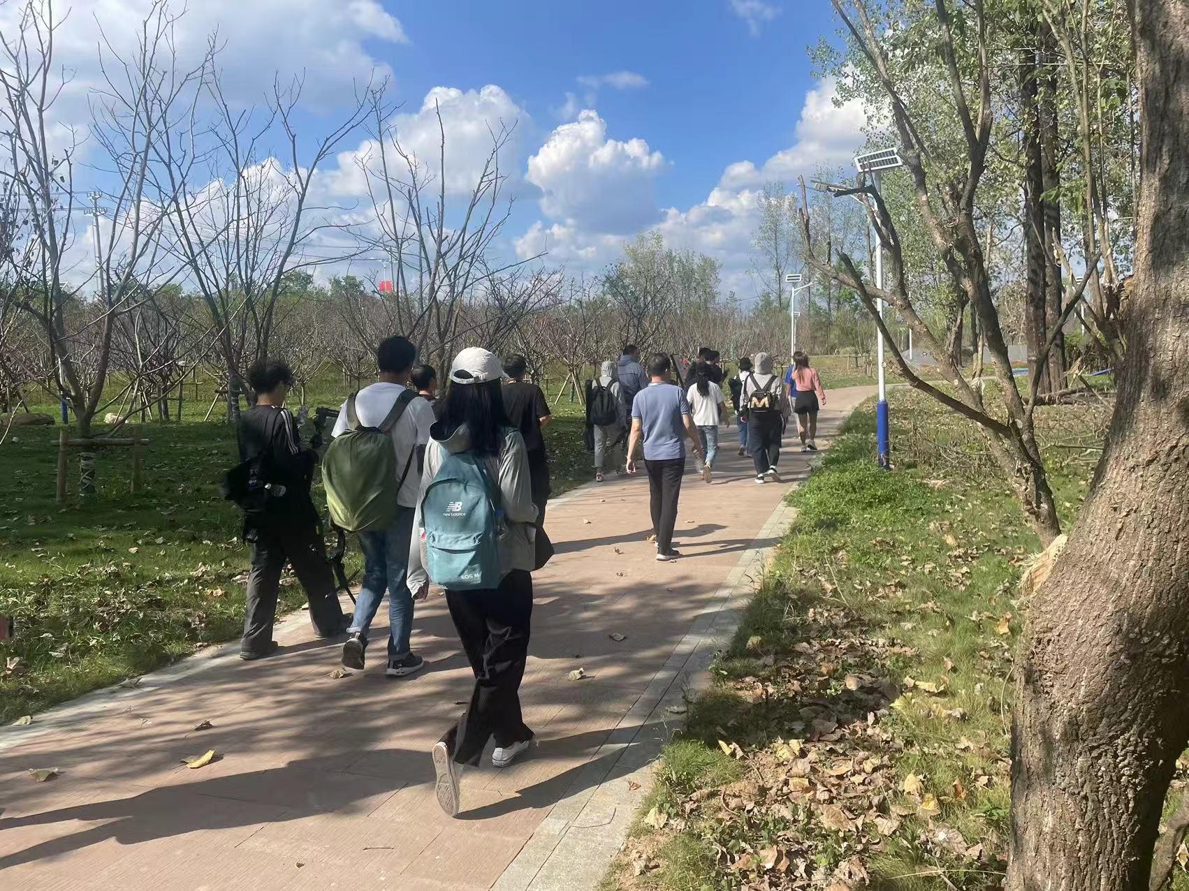 隆阜一村白鹭生态湿地旅行图片 1