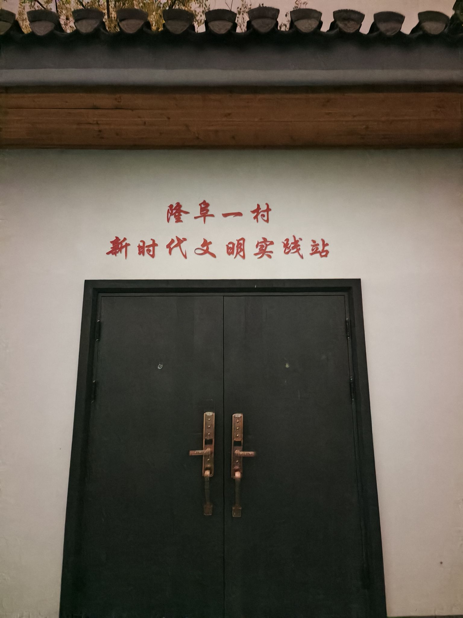 隆阜一村白鹭生态湿地旅行图片 1