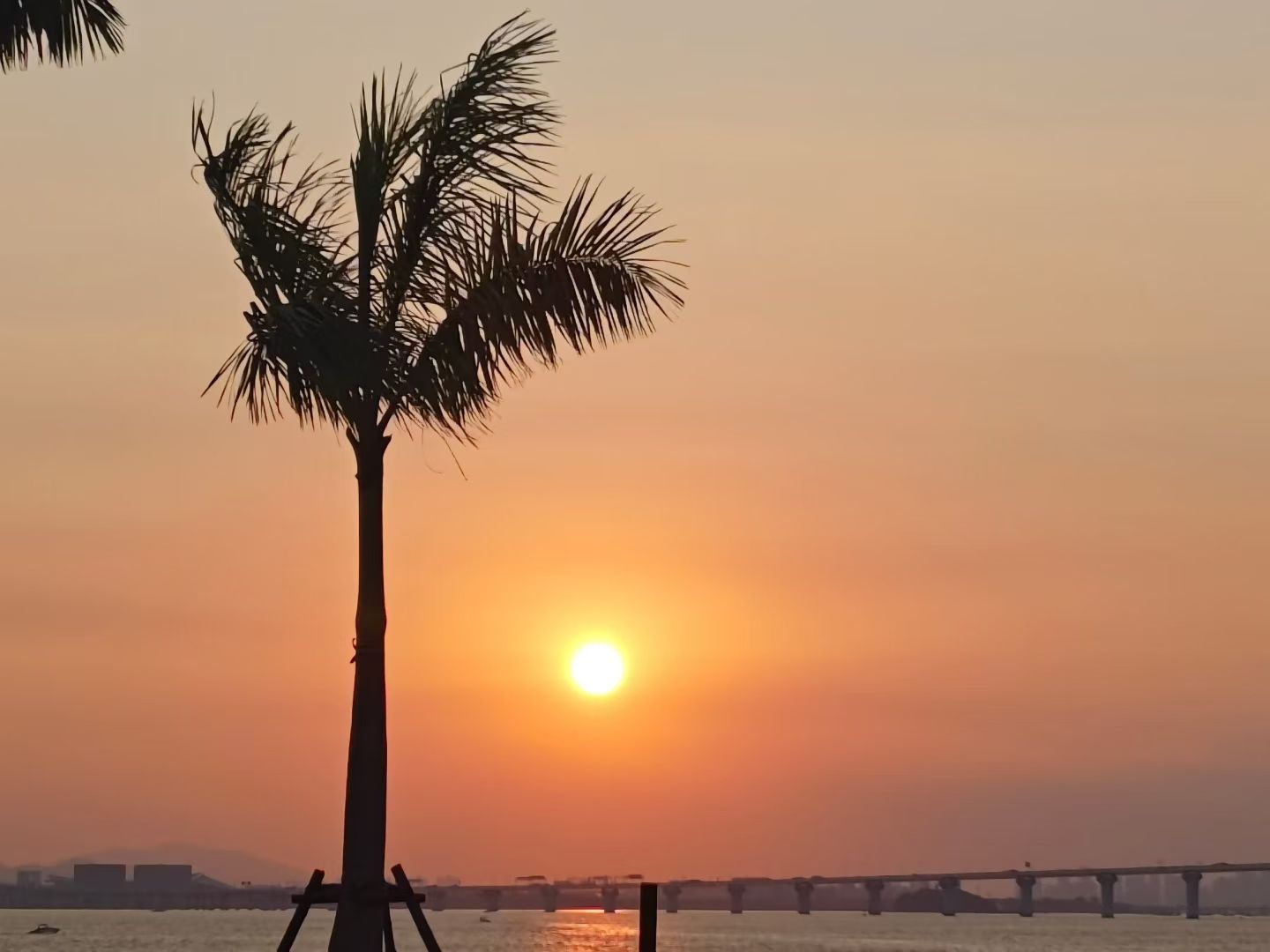 荻花洲旅行图片 1