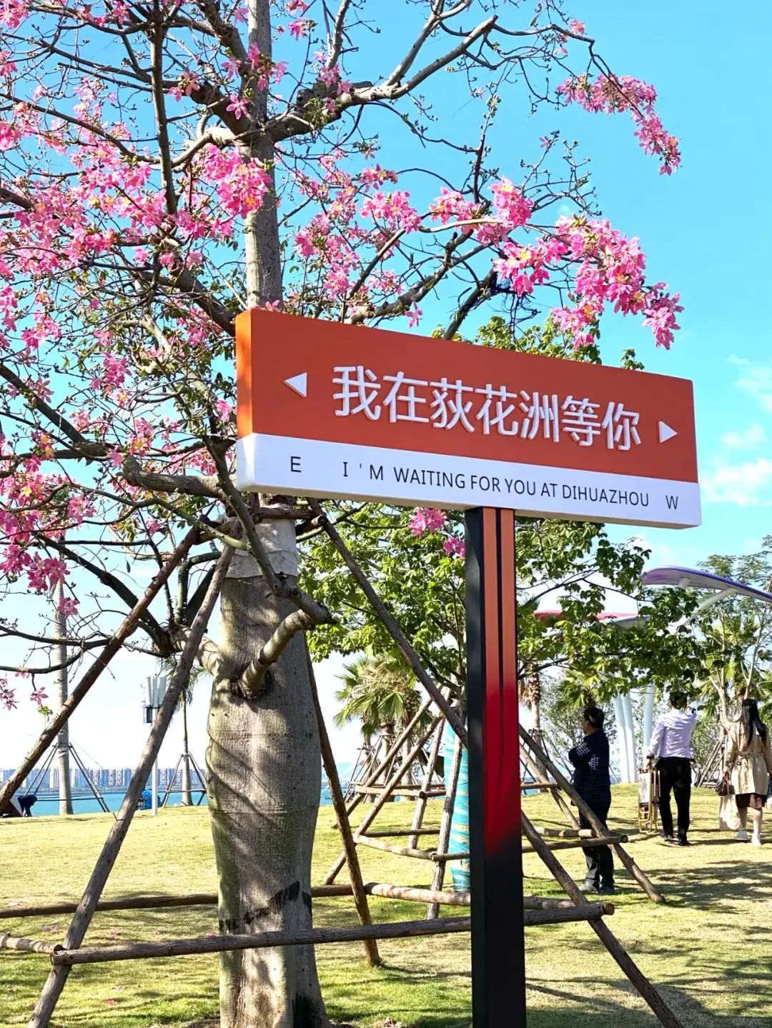 荻花洲旅行图片 1