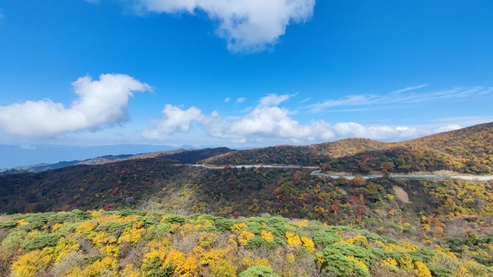 旺苍县盐井河森林公园旅行图片 3