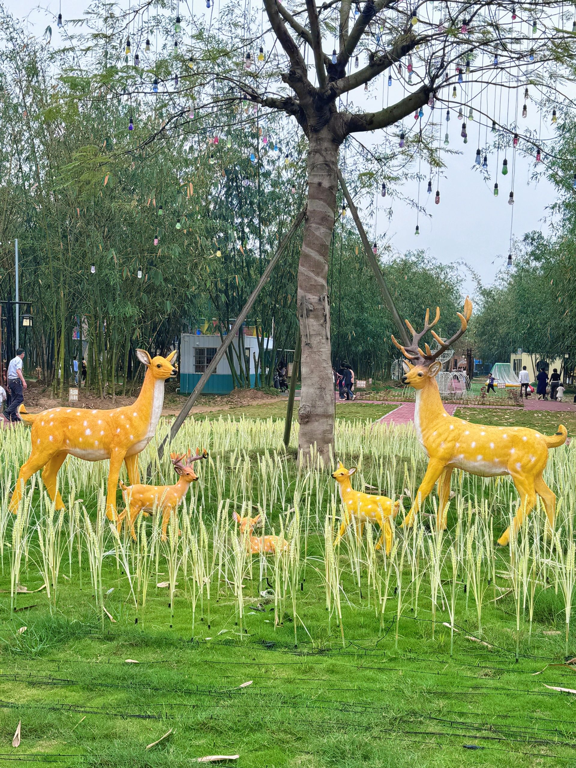 乐奇生态观光园旅行图片 3