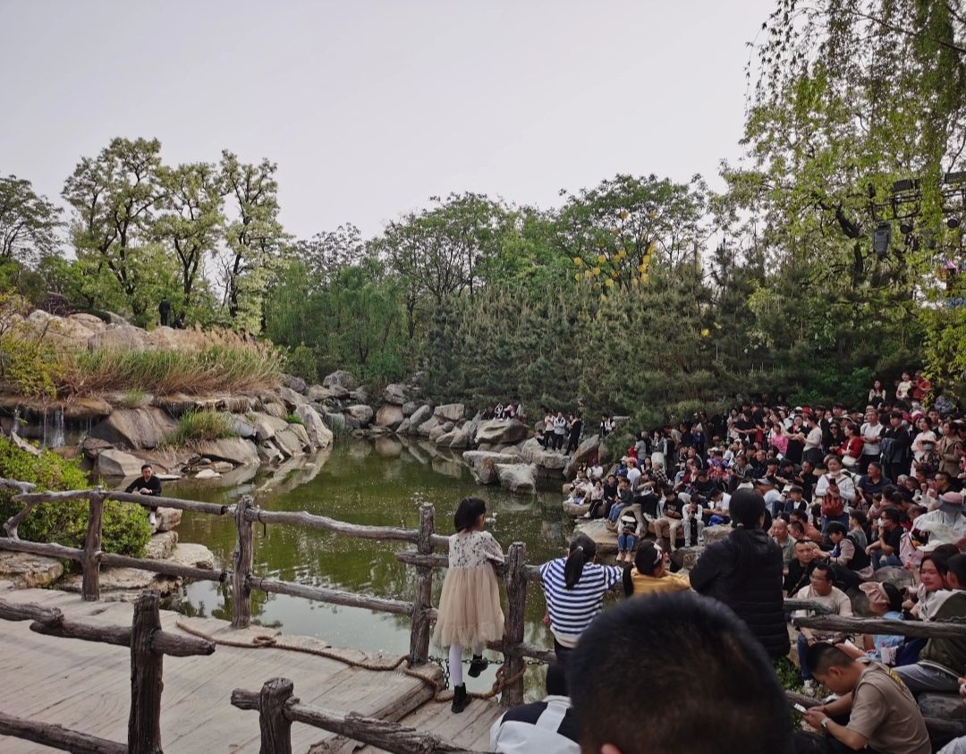 飞云浦旅行图片 1