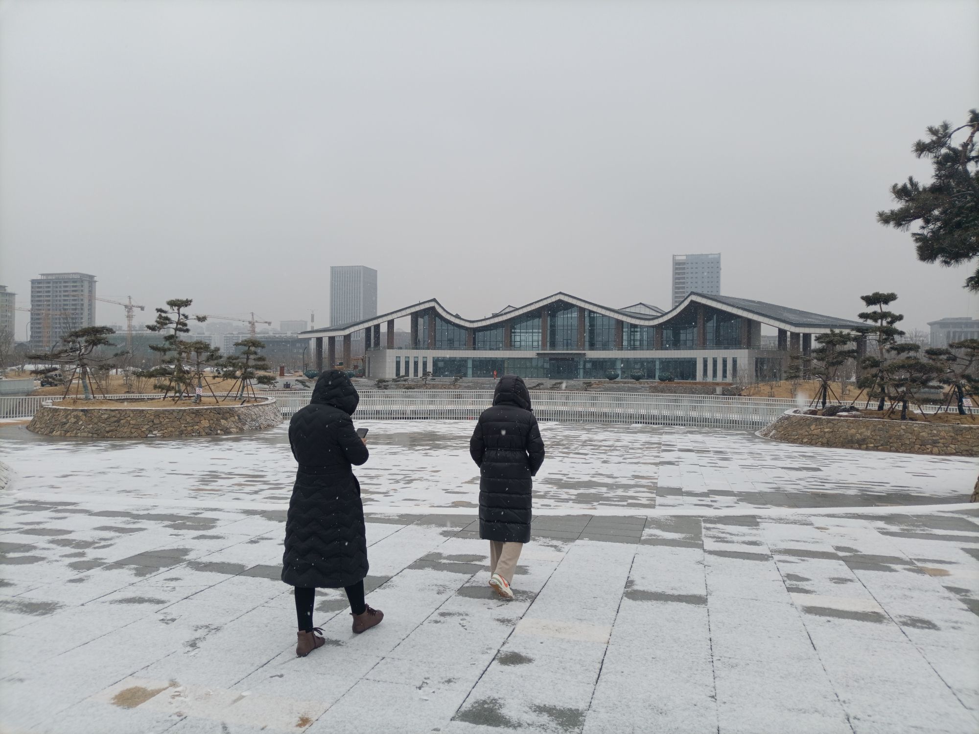 朝阳森林公园旅行图片 2