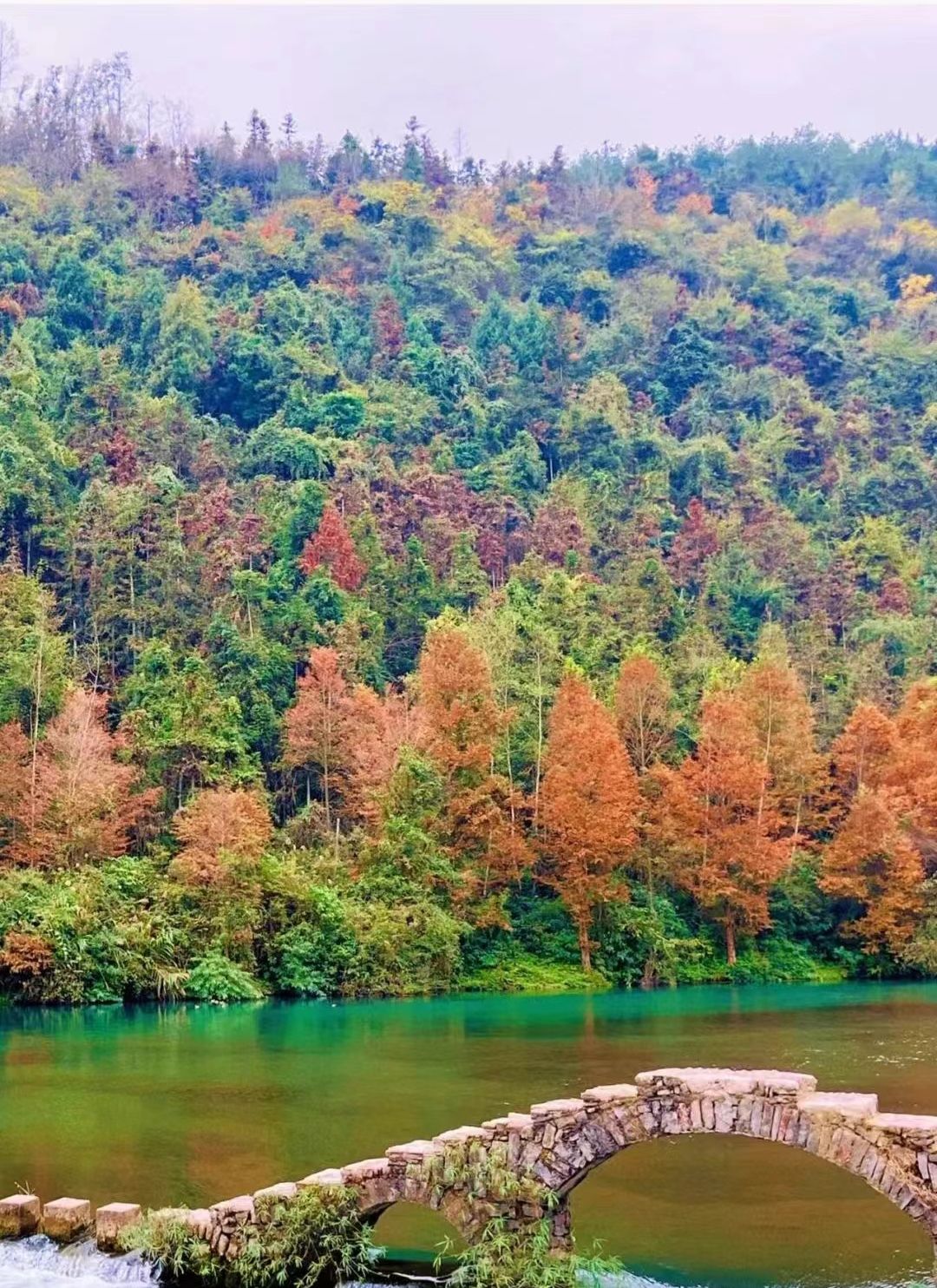 长潭岗网红桥旅行图片 1