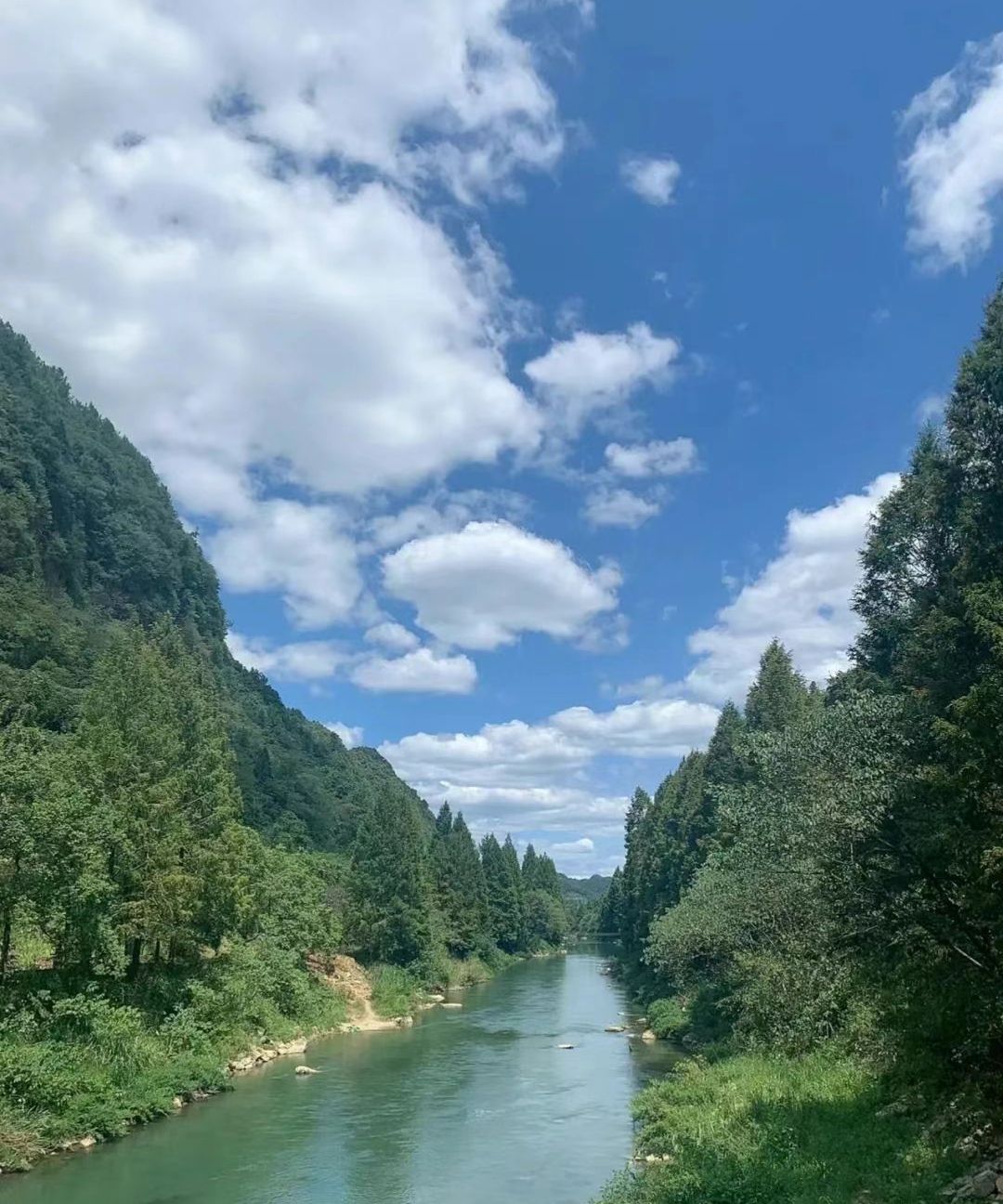 长潭岗网红桥旅行图片 3