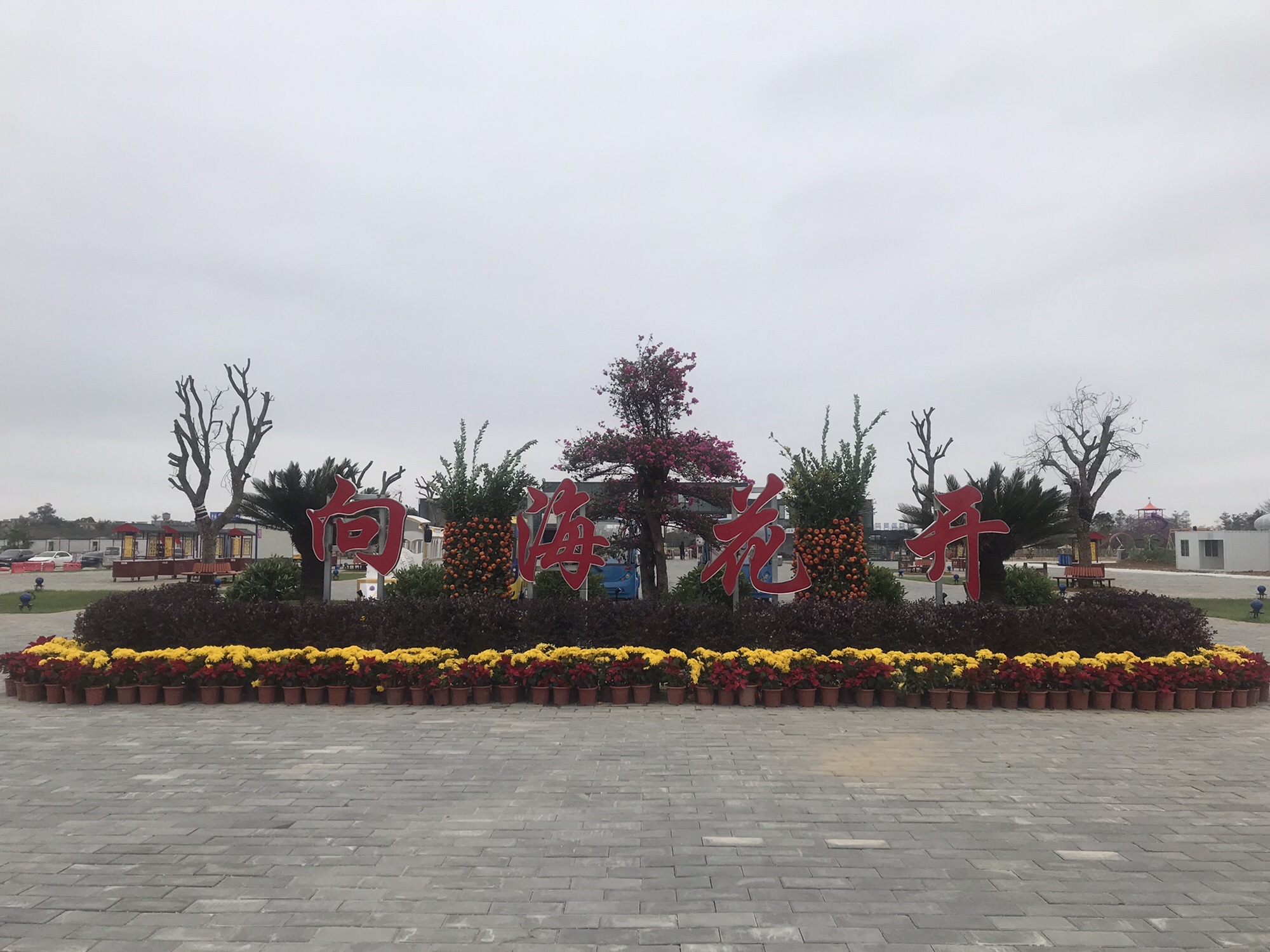 北海市银海区向海花开景区旅行图片 1