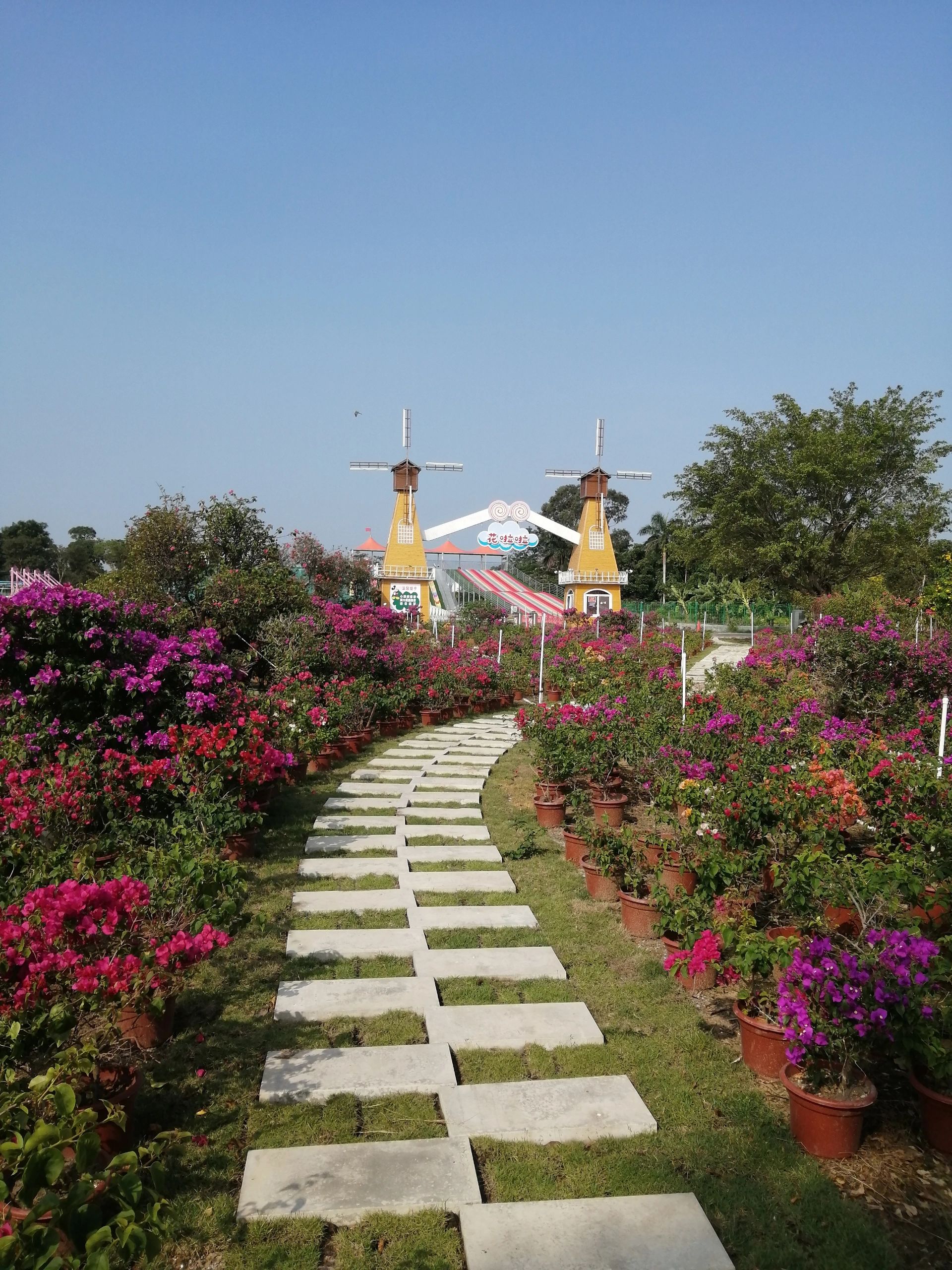 北海市银海区向海花开景区旅行图片 1