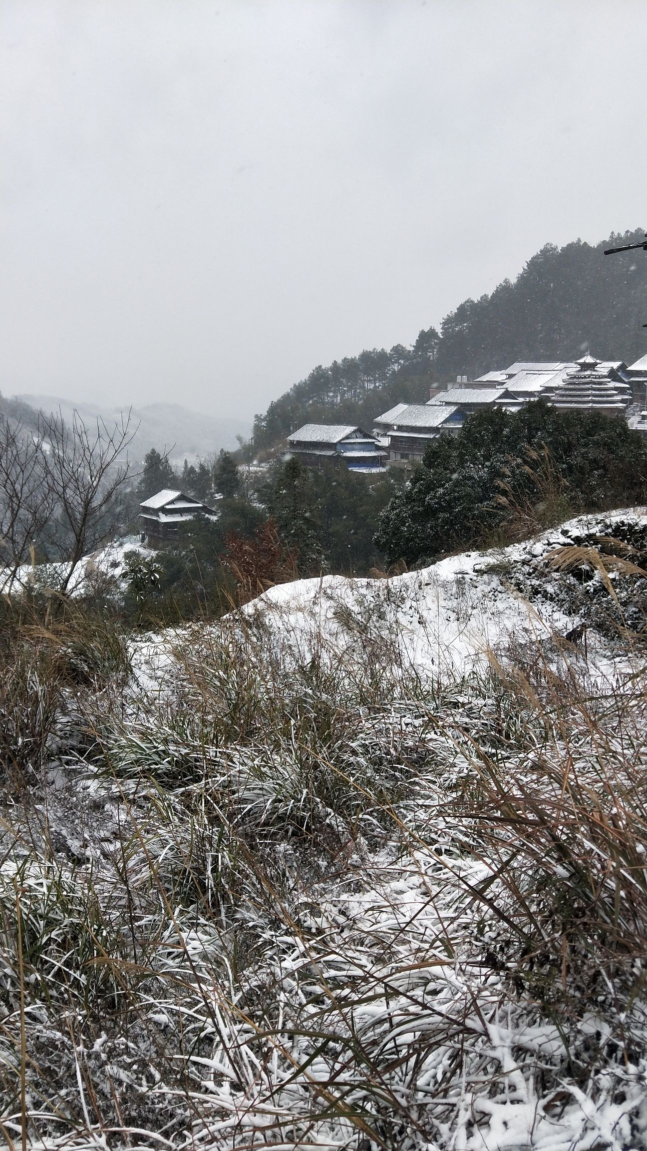 大培山侗寨景区观光台三旅行图片 3