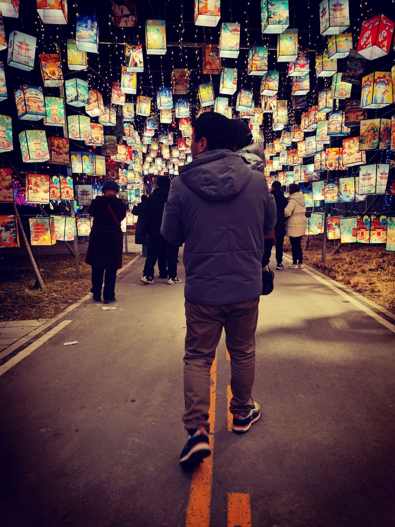 保定彩灯大世界(暂停开放)旅行图片 2