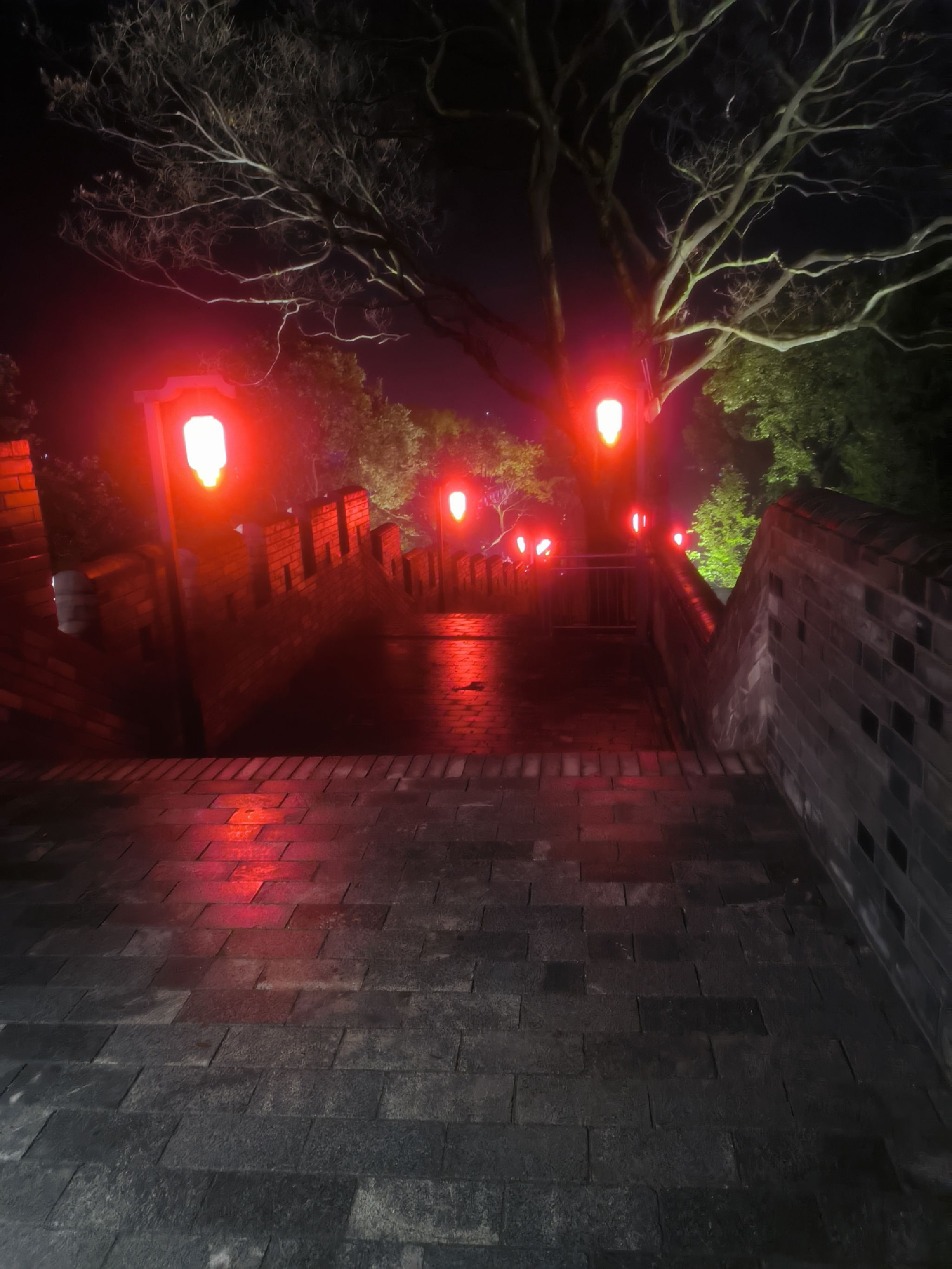 大家山城墙旅行图片 1