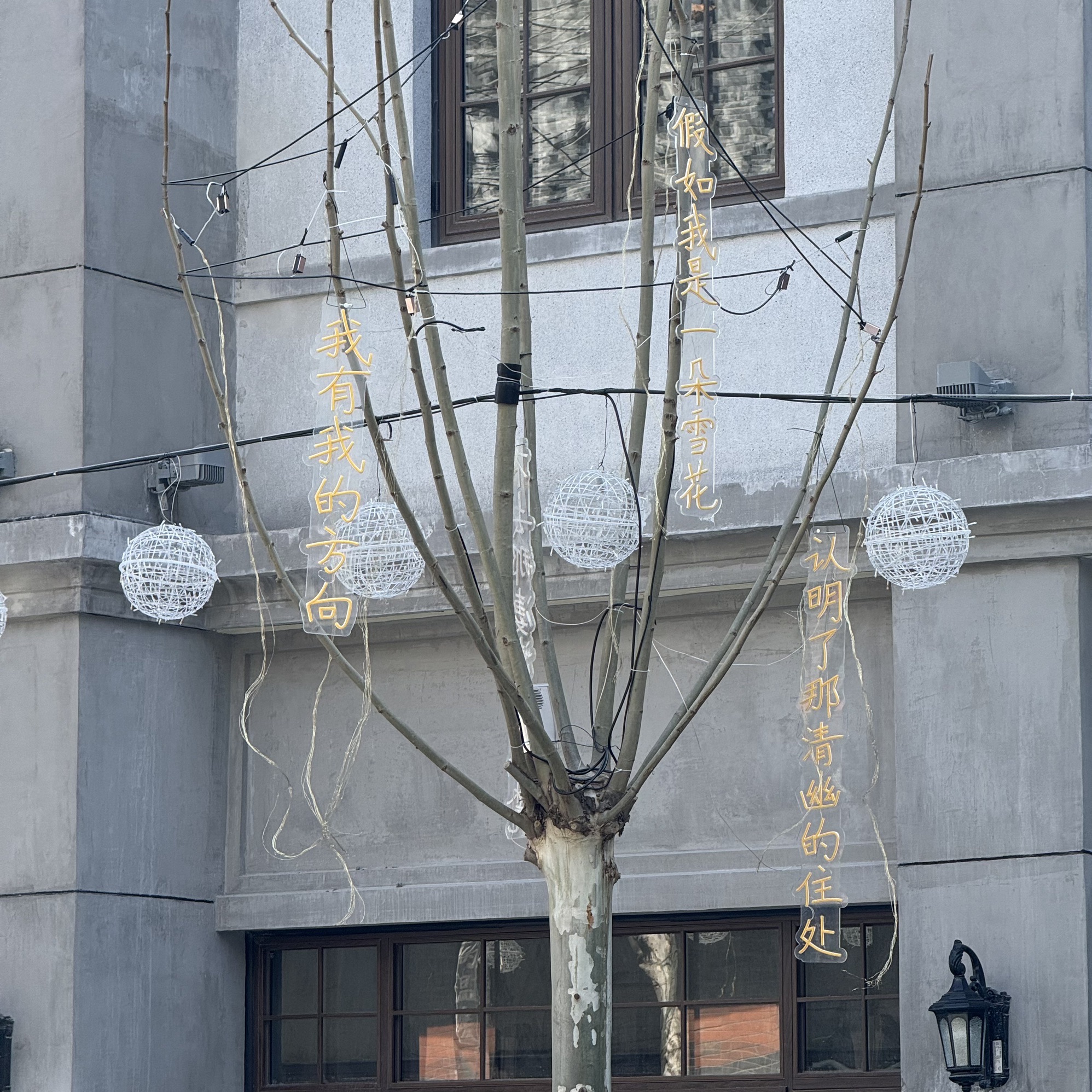 干河街历史文化街区旅行图片 2