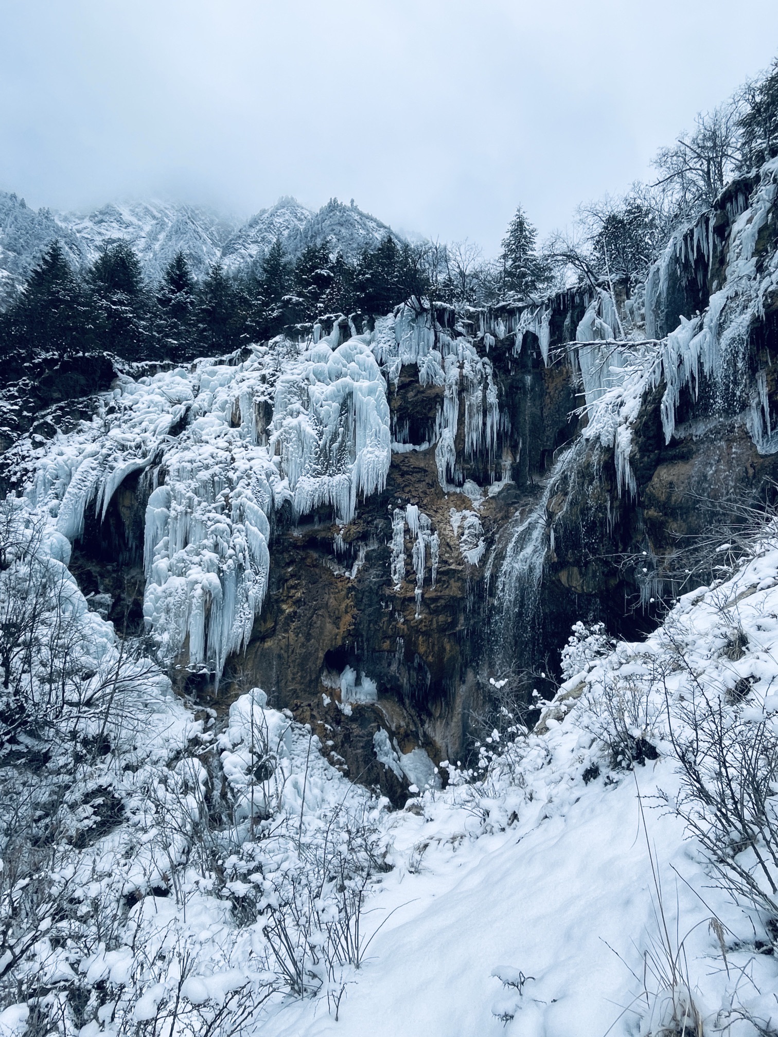 沙棘沟旅行图片 2
