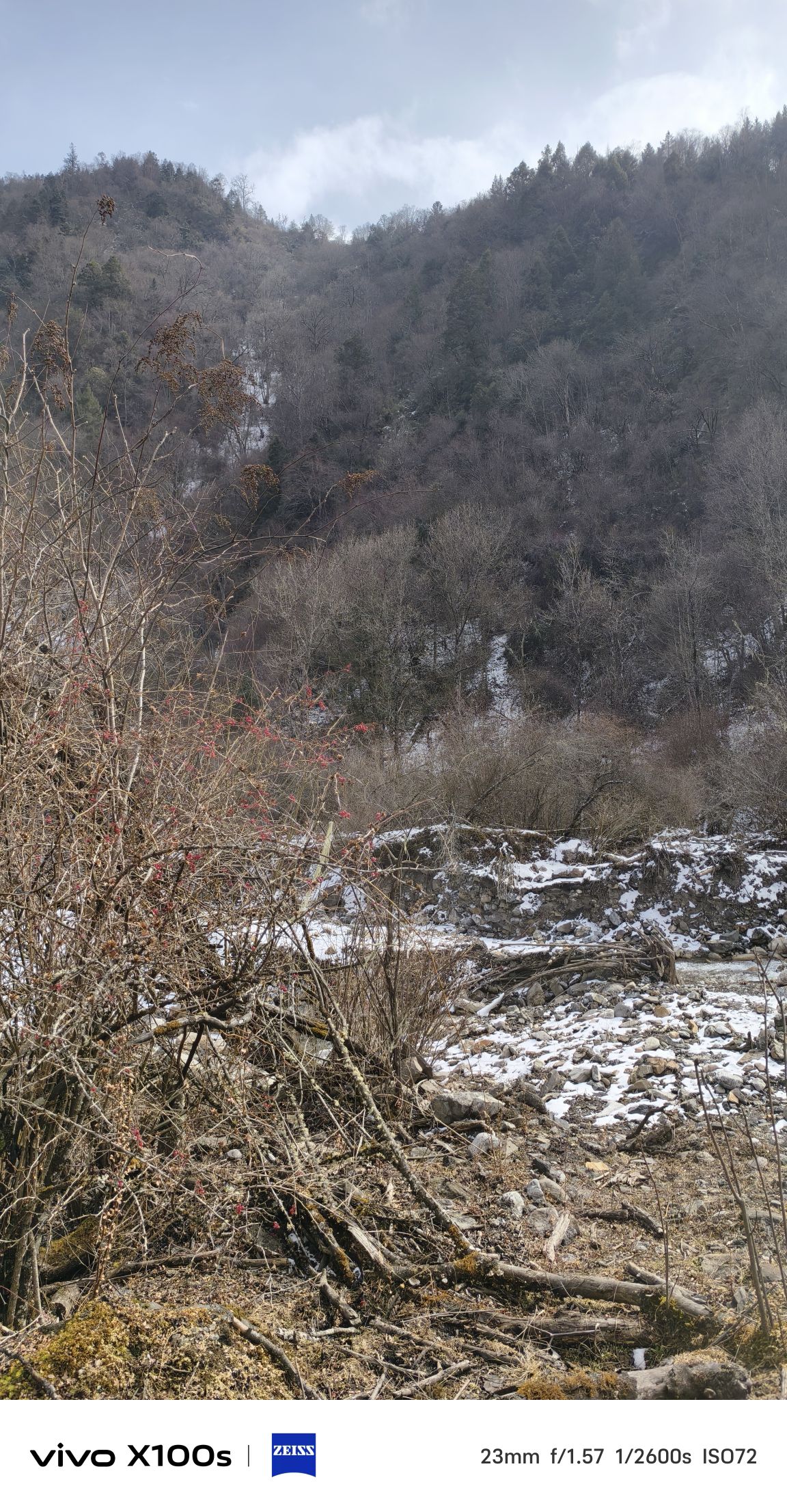 沙棘沟旅行图片 2