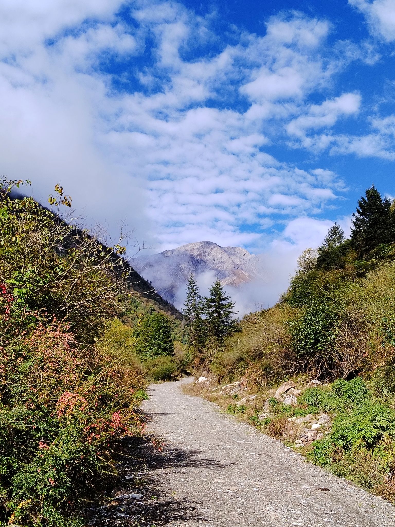 沙棘沟旅行图片 2