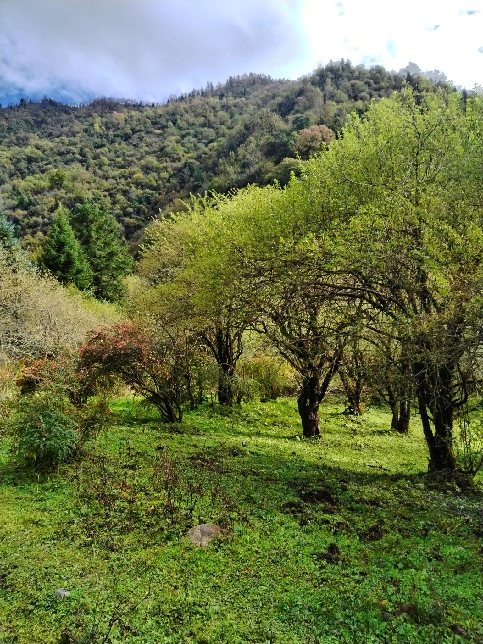 沙棘沟旅行图片 3