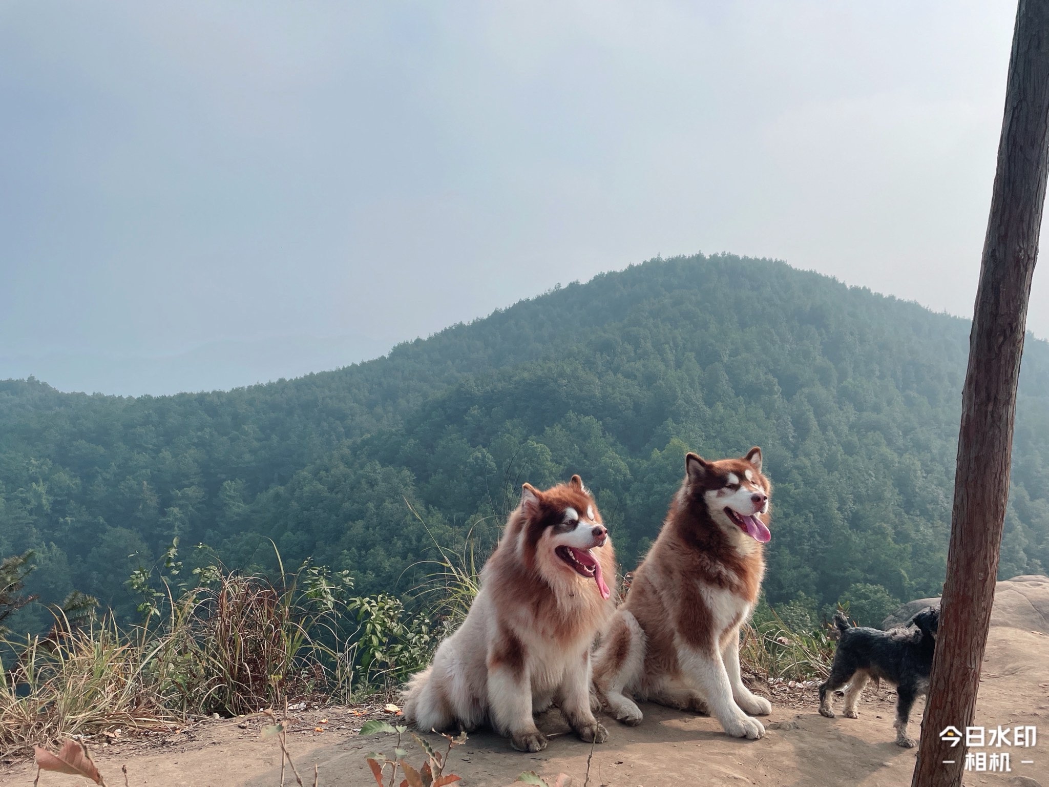 刀片岩旅行图片 2