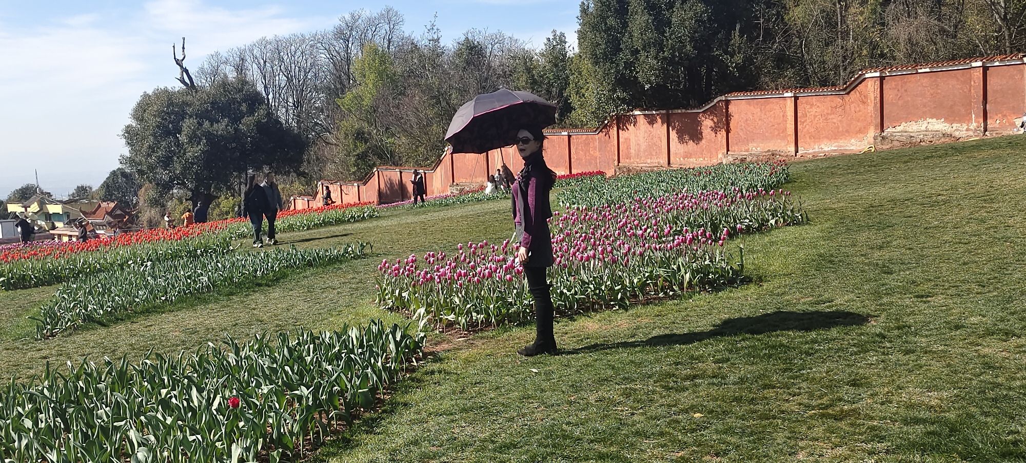 阿署达四季花海景区旅行图片 3