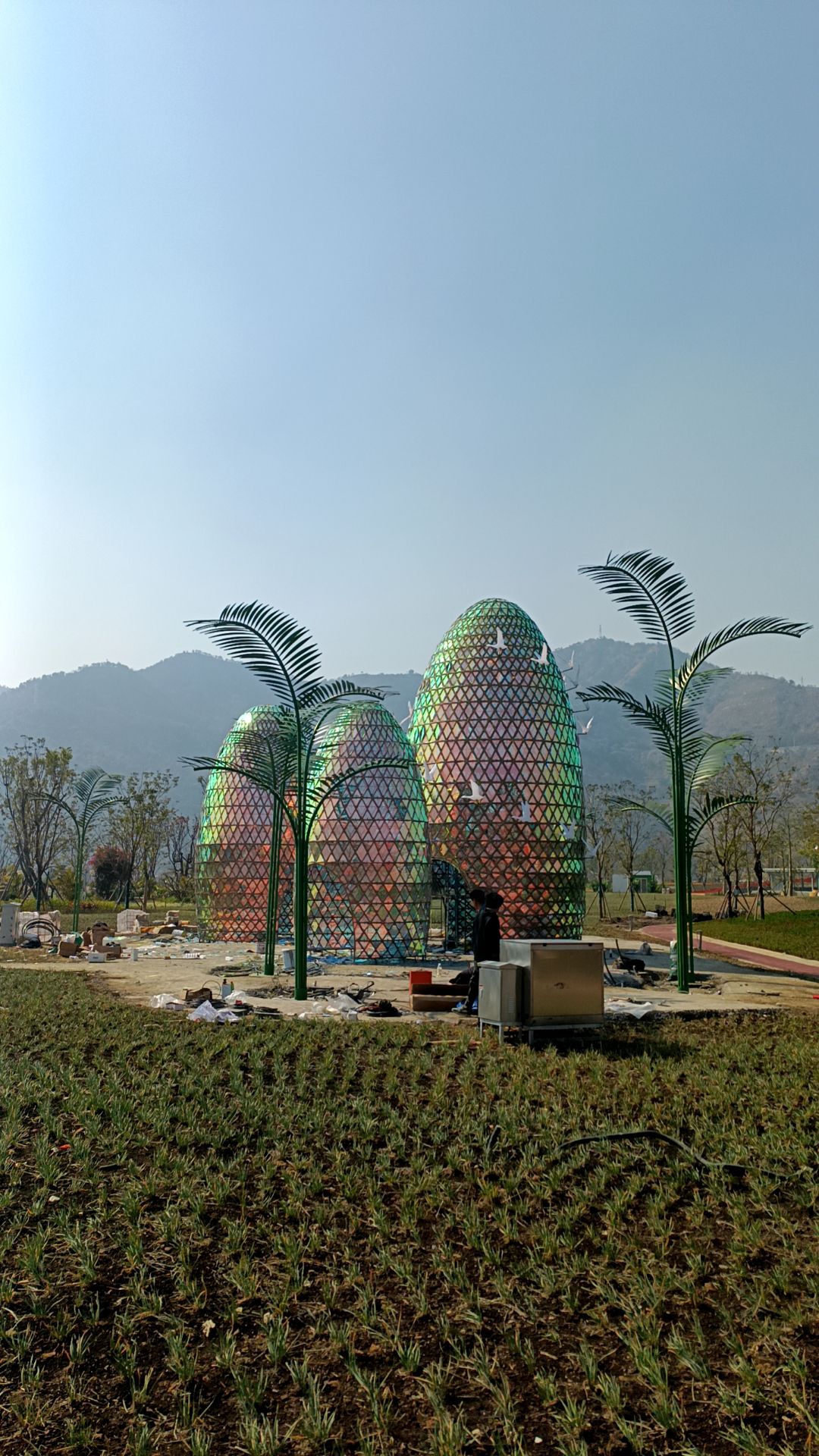 阿署达四季花海景区旅行图片 1