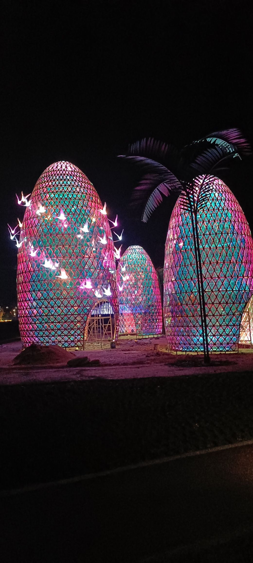 阿署达四季花海景区旅行图片 3