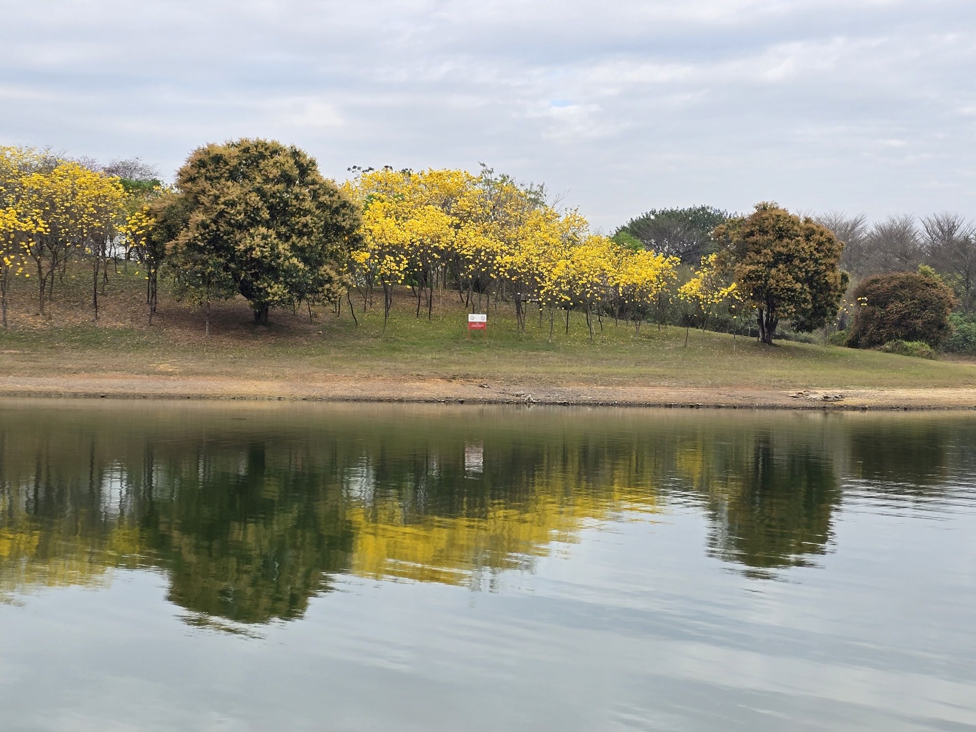 松山湖科学公园