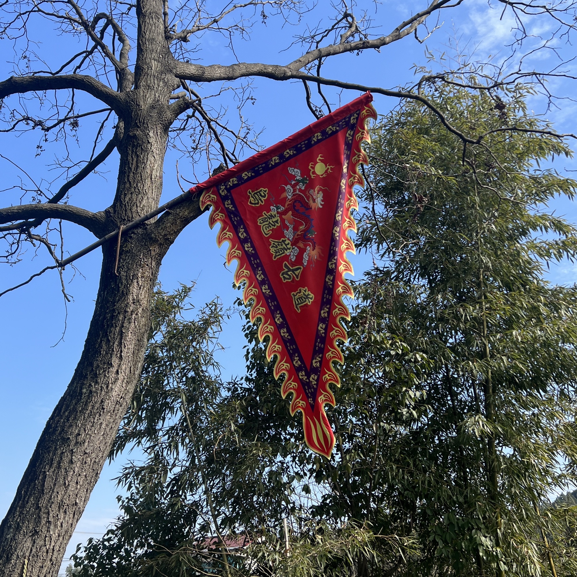 乌龙岭古道旅行图片 2