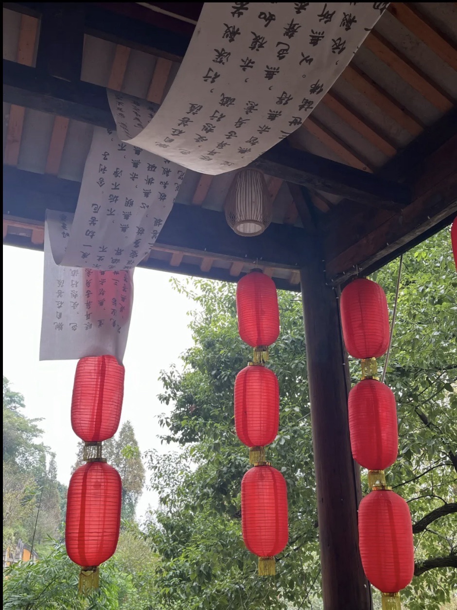 金龙寺旅行图片 3