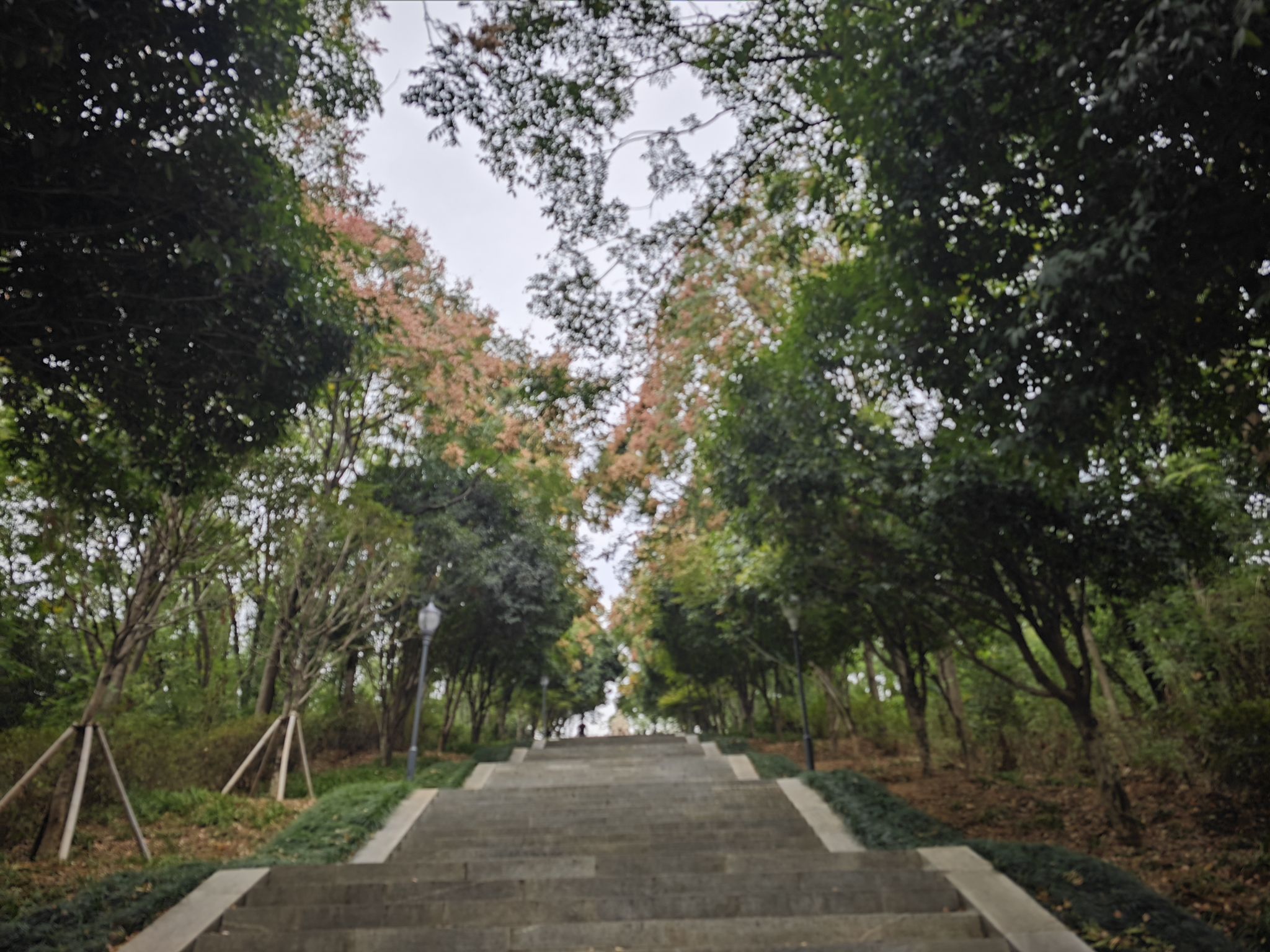 孔圣广场旅行图片 3