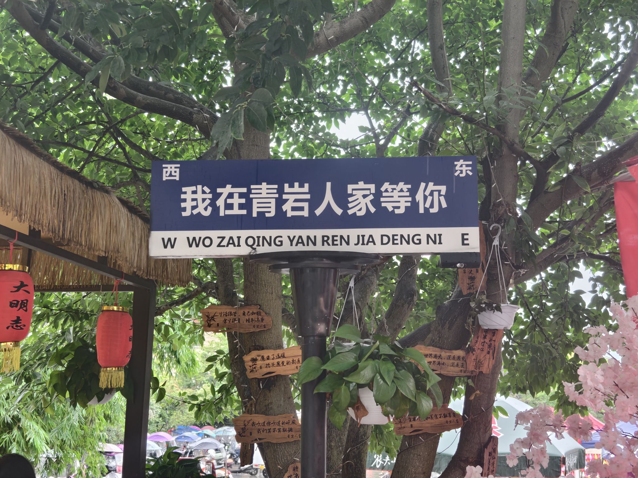 青岩苗疆古城旅行图片 1